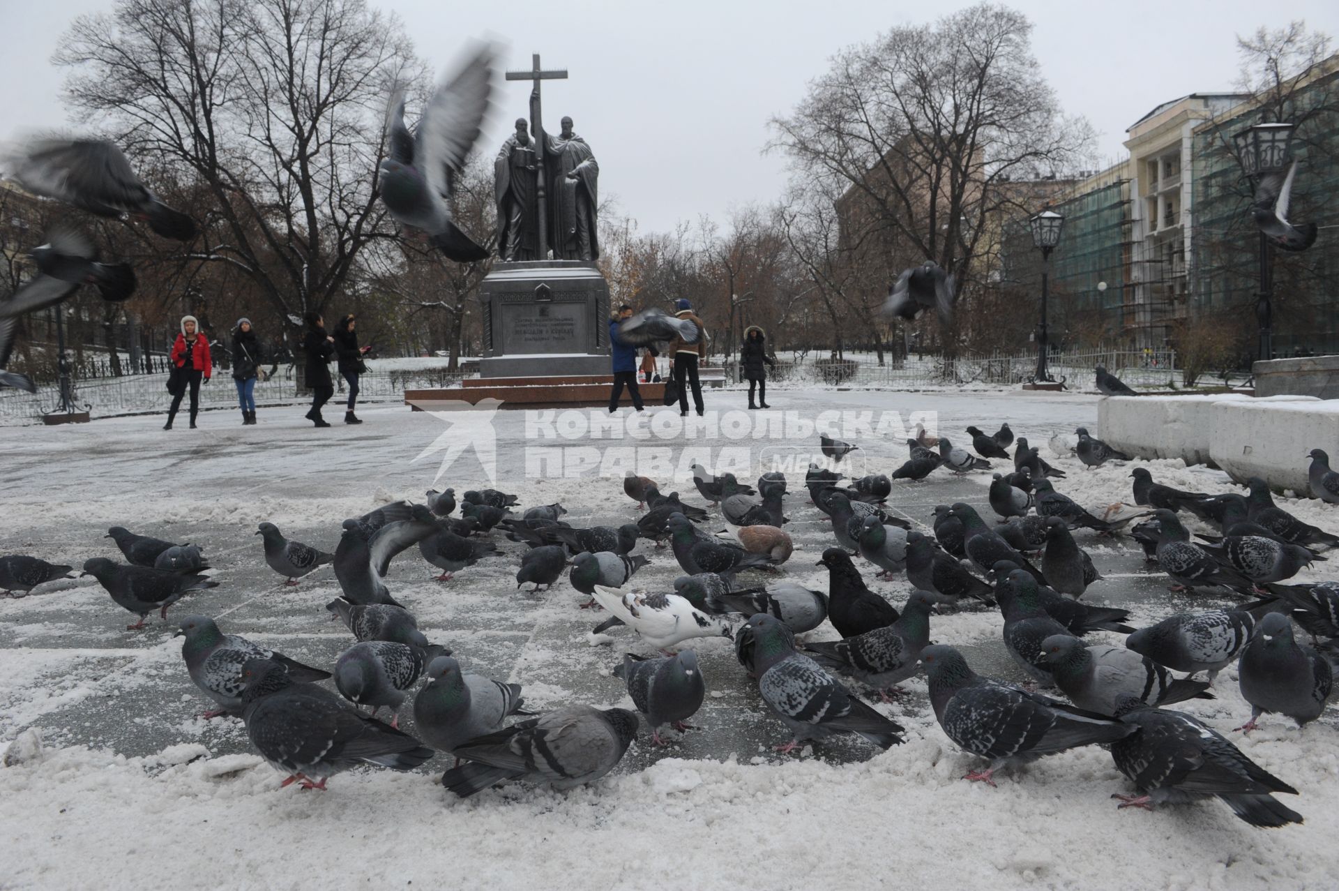 Москва.  Голуби у памятника  Кириллу и Мефодию на Славянской площади.