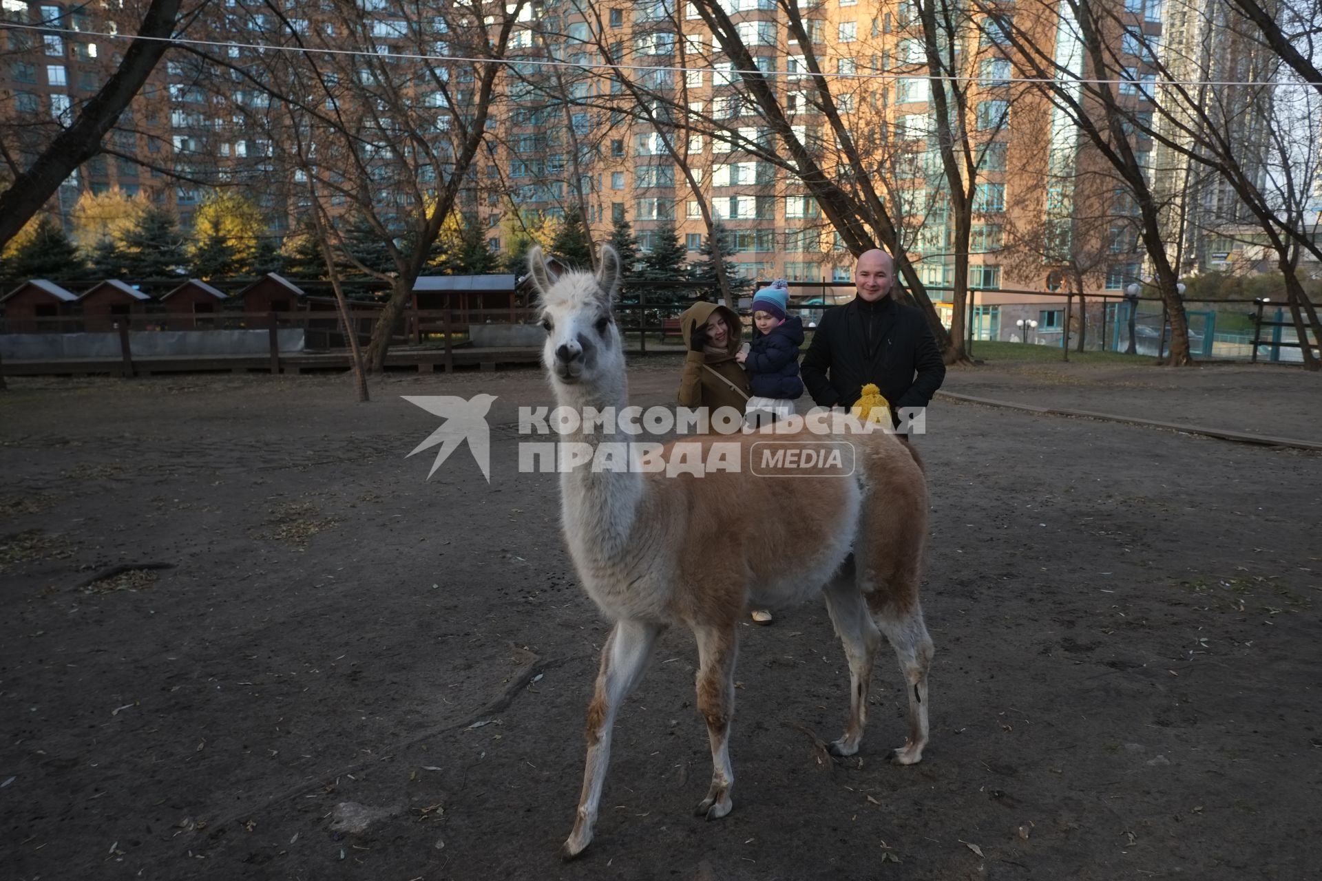 Москва. Зоопарк на территории жилого комплекса `Золотые ключи - 2`.