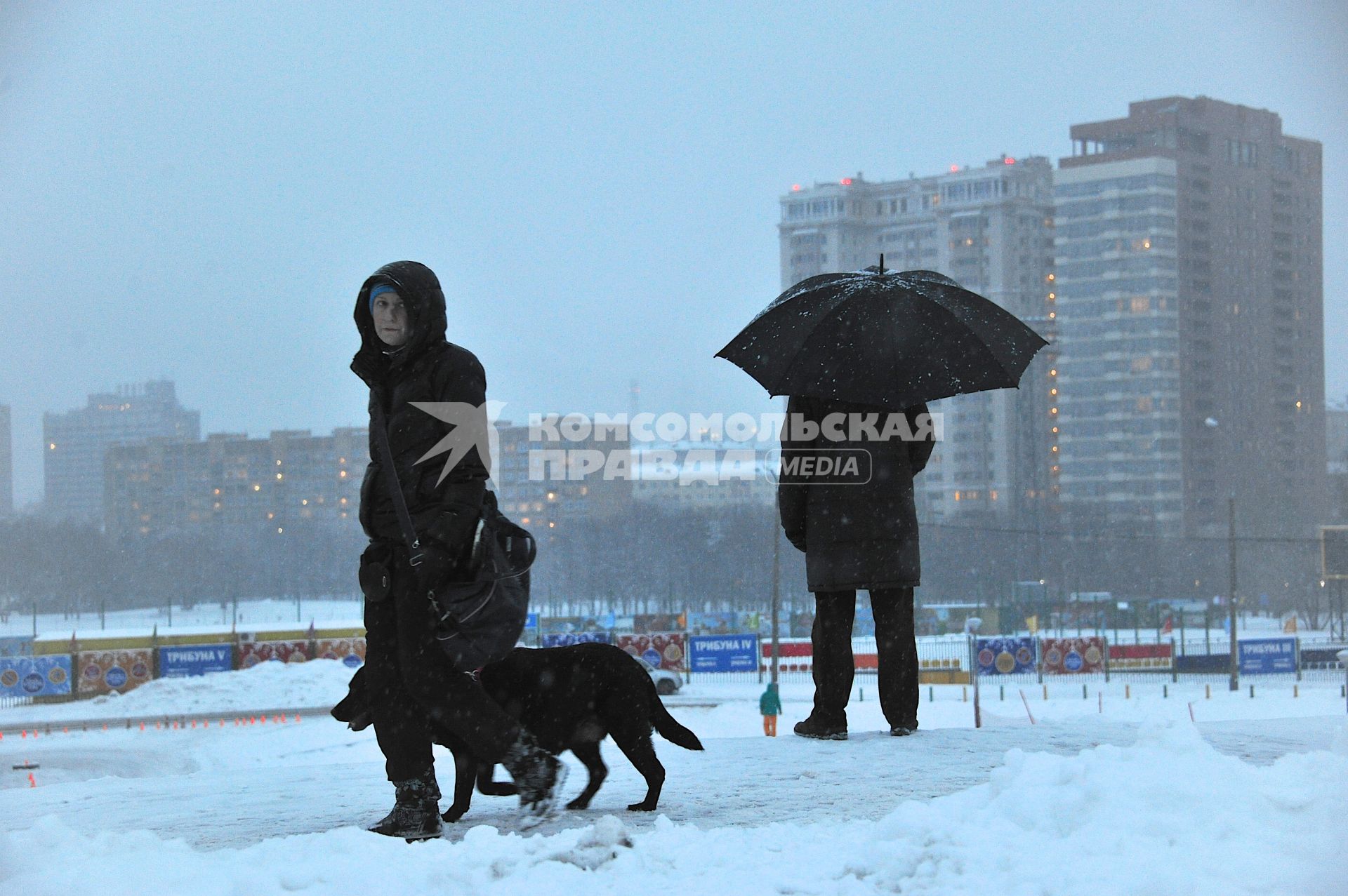 Москва. Женщина гуляет с собакой на Воробьевых горах.
