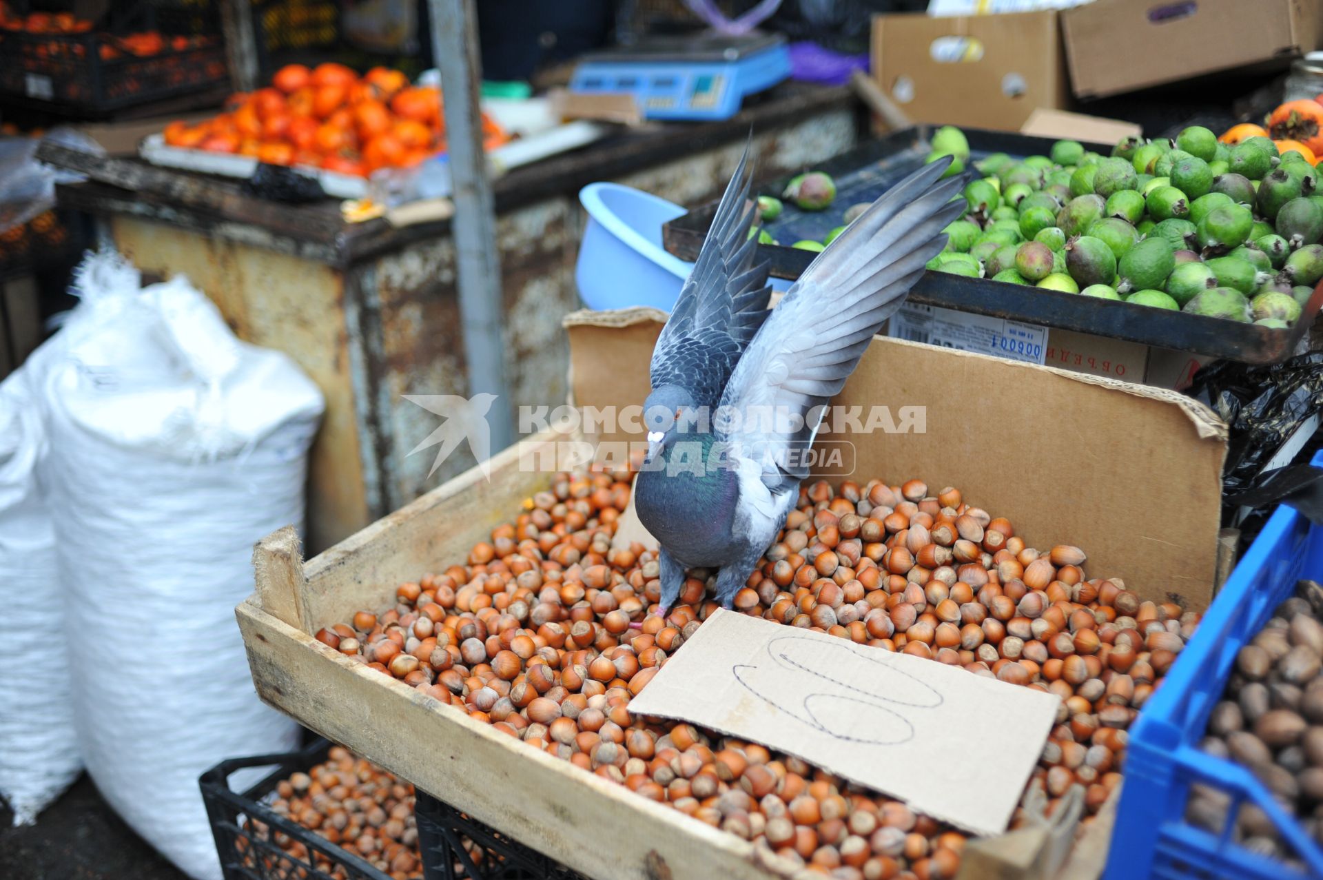 Абхазия. Сухум. Продажа фундука и наглый голубь на рынке.
