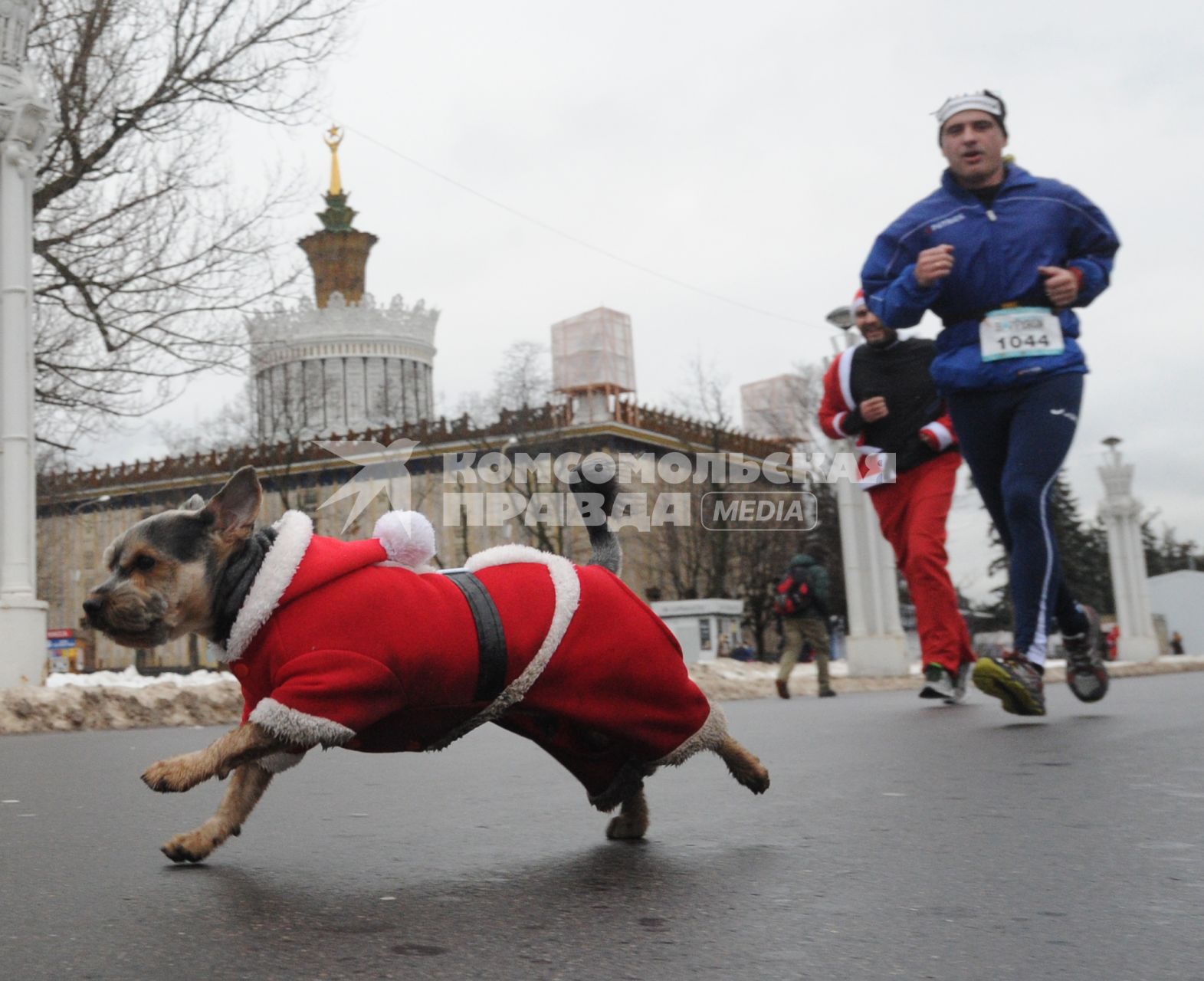 Москва. Участники благотворительного забега Дедов Морозов `Happy Run` на ВДНХ.