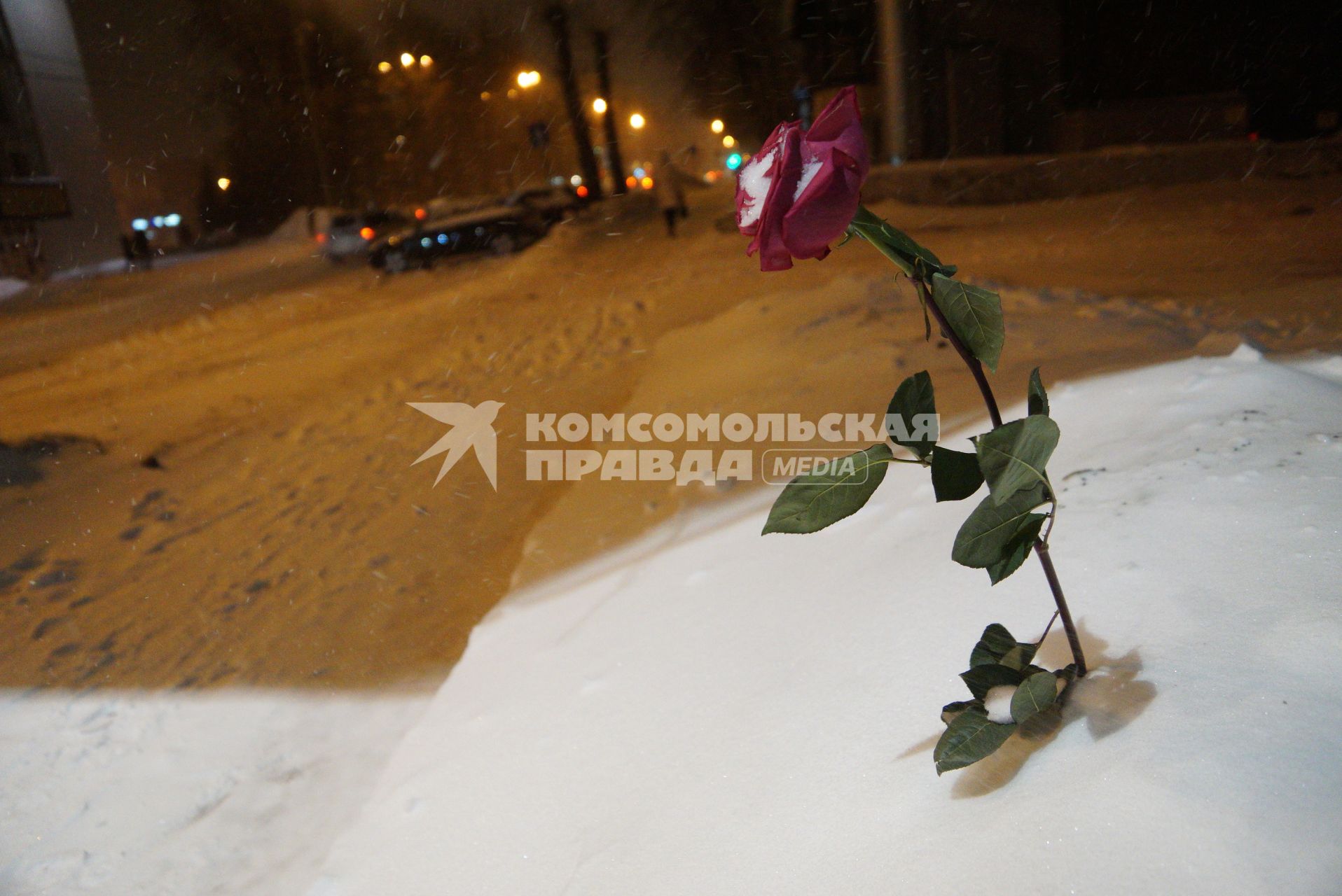 Екатеринбург. Роза в сугробе.