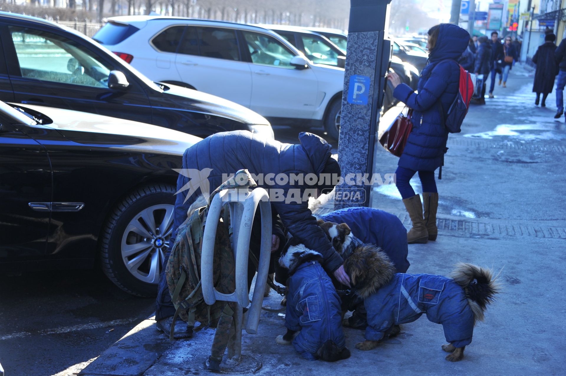 Москва. Хозяин собак привязывает своих питомцев к стойке для велосипедов.