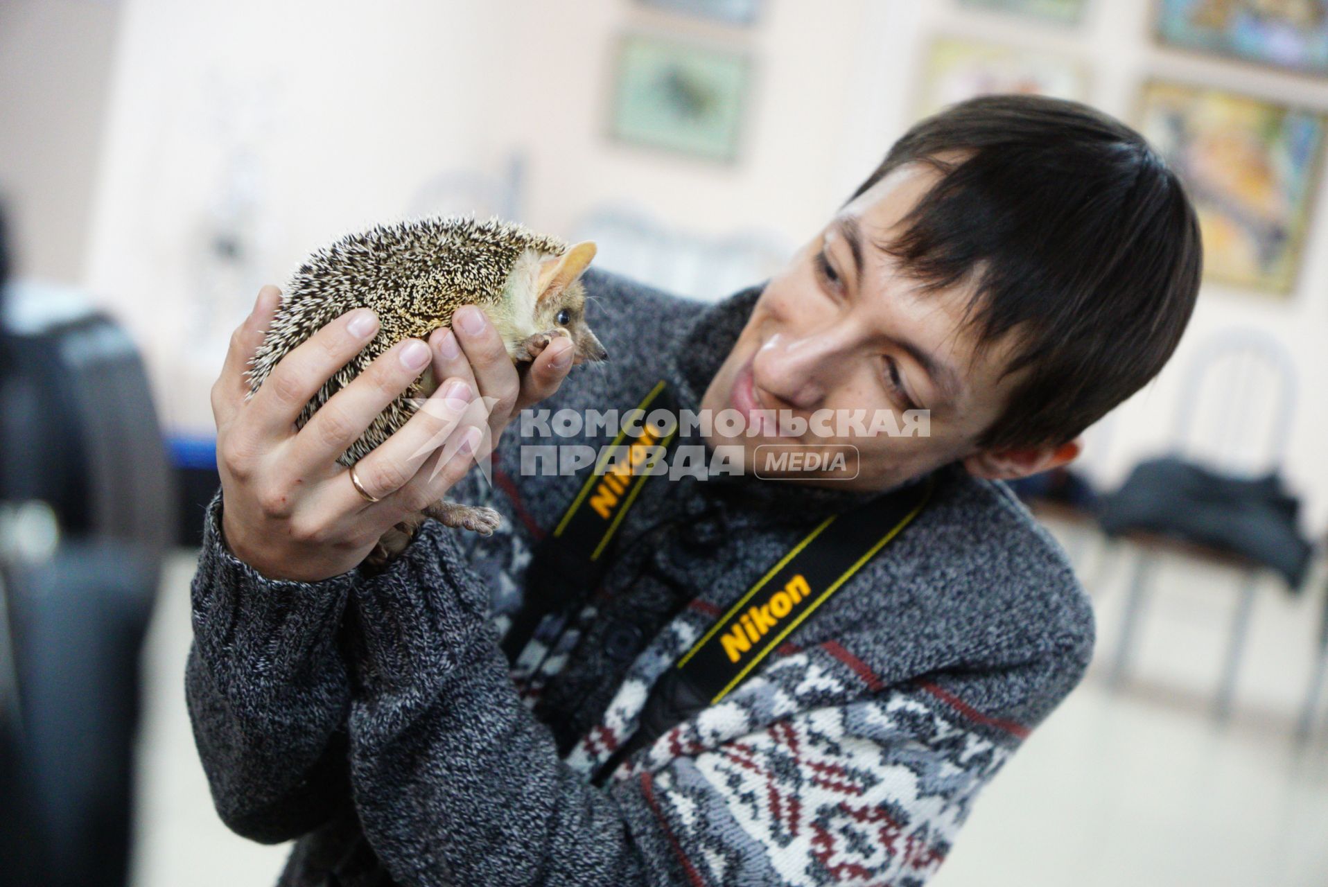 Екатеринбург. Сотрудник зоопарка держит на руках ежиху Пуговку перед началом ее традиционного предсказания погоды на весну.