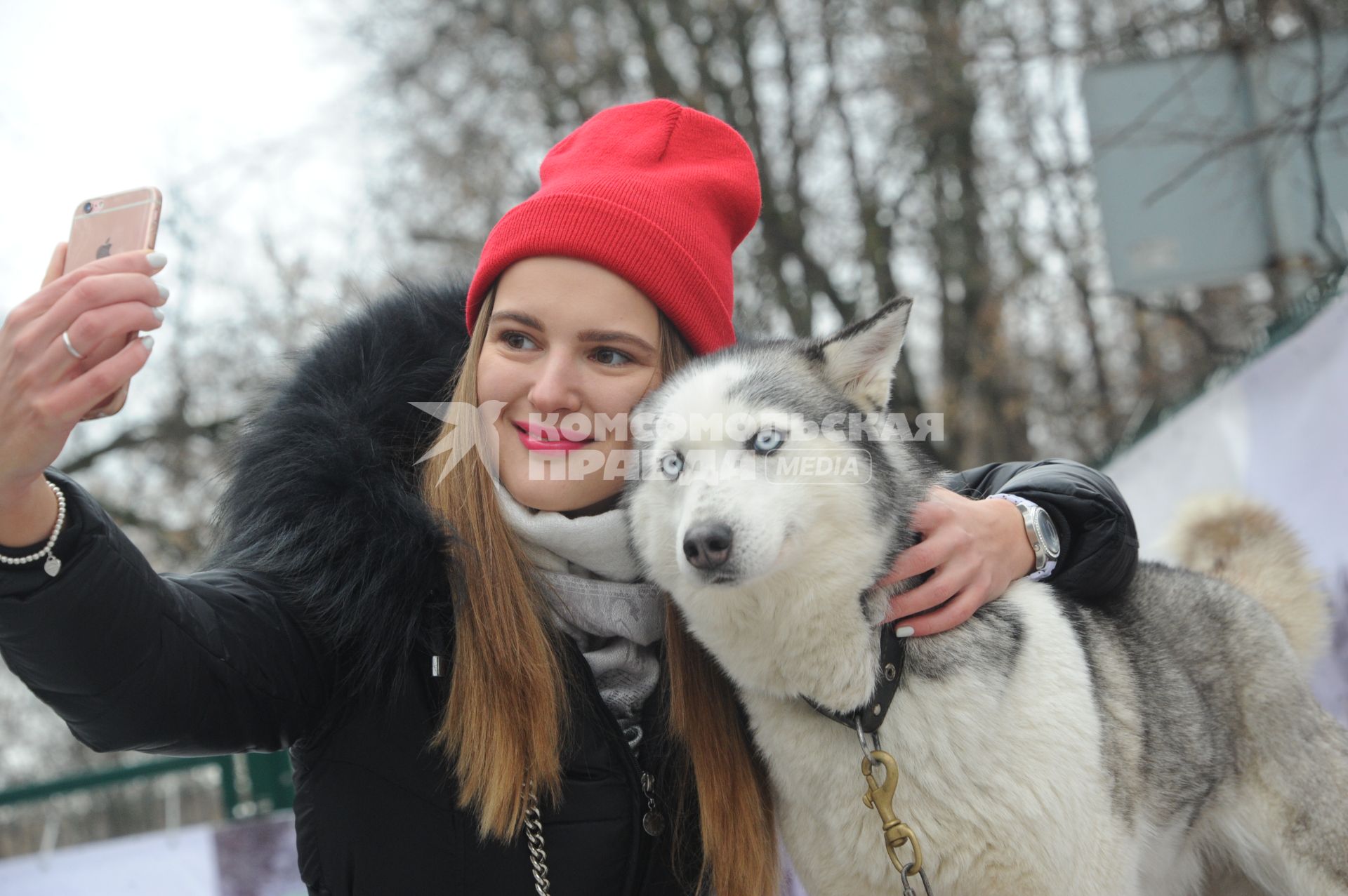 Москва.   Девушка делает селфи с хаски в парке Сокольники.