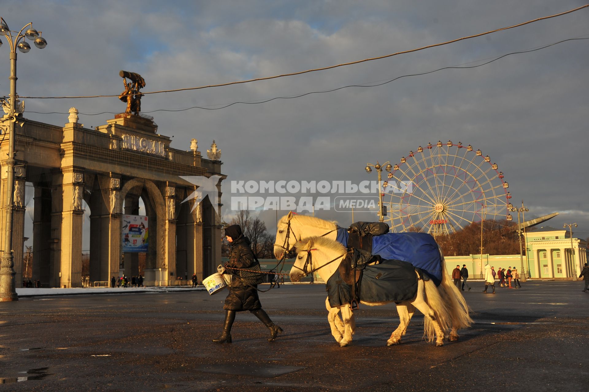 Москва.   Прокат лошади и пони  на территории ВДНХ.