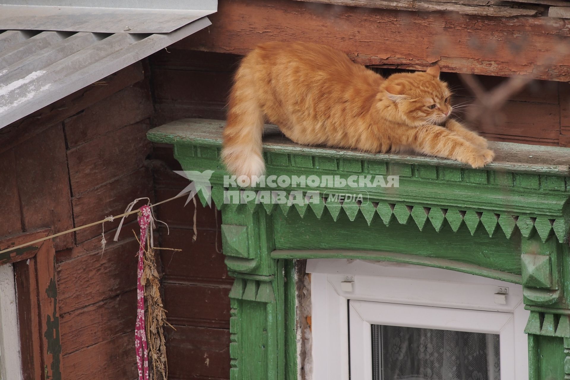 Тула. Кошка сидит на окошке.