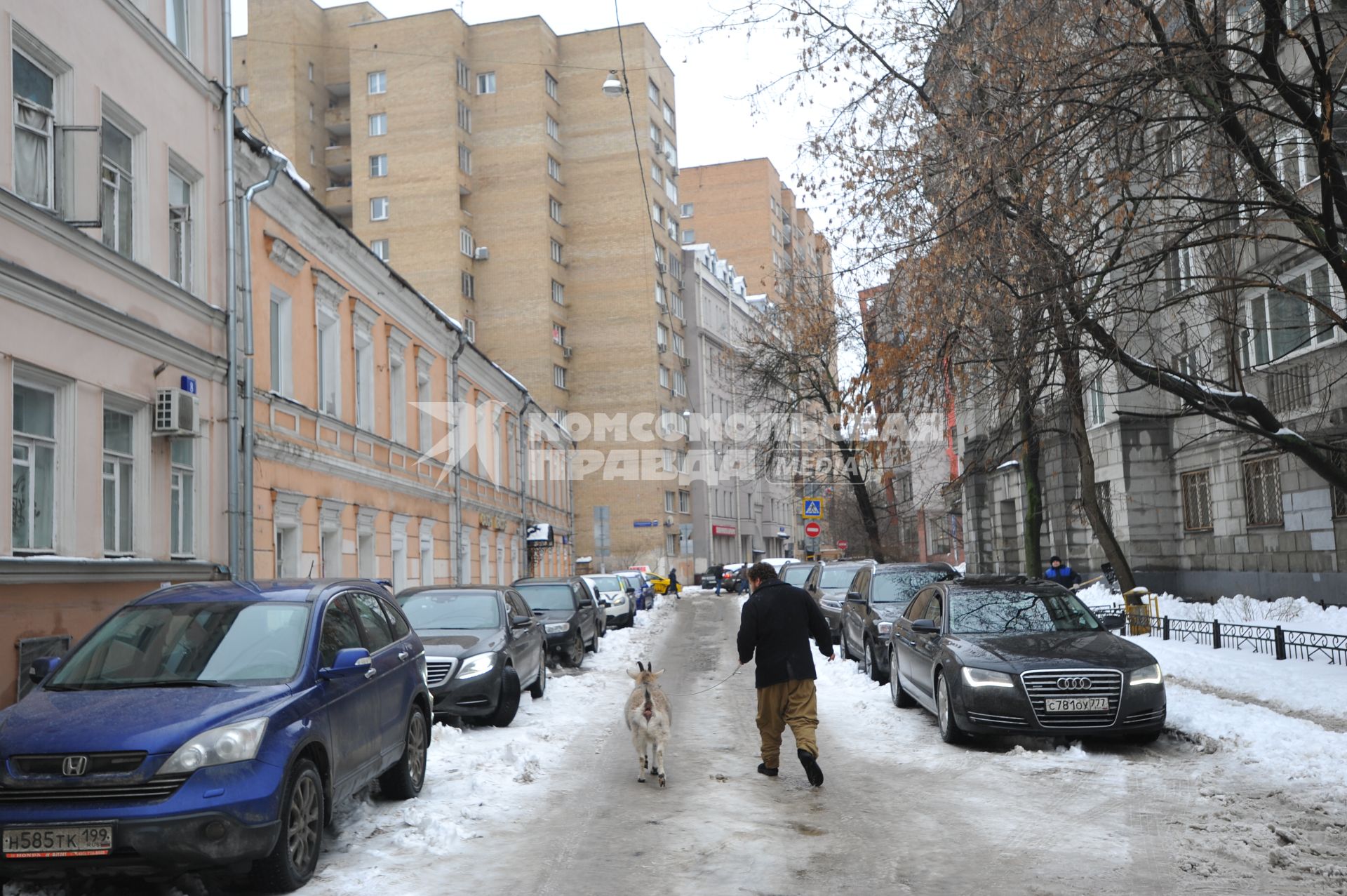 Москва. Фермер-сыровар Олег Сирота привез козу по кличке Меркель в Министерство сельского хозяйства Подмосковья.