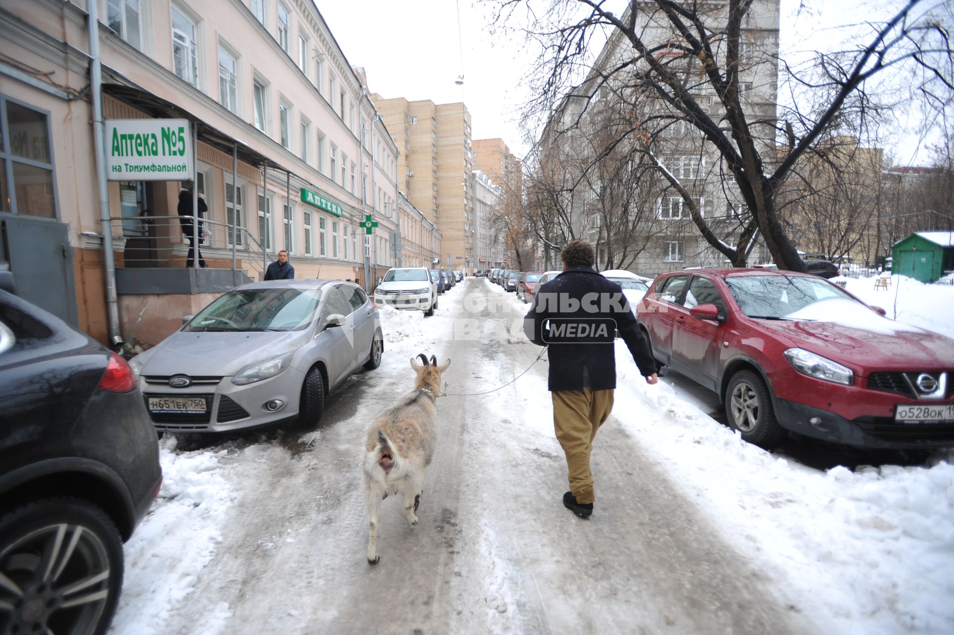 Москва. Фермер-сыровар Олег Сирота привез козу по кличке Меркель в Министерство сельского хозяйства Подмосковья.