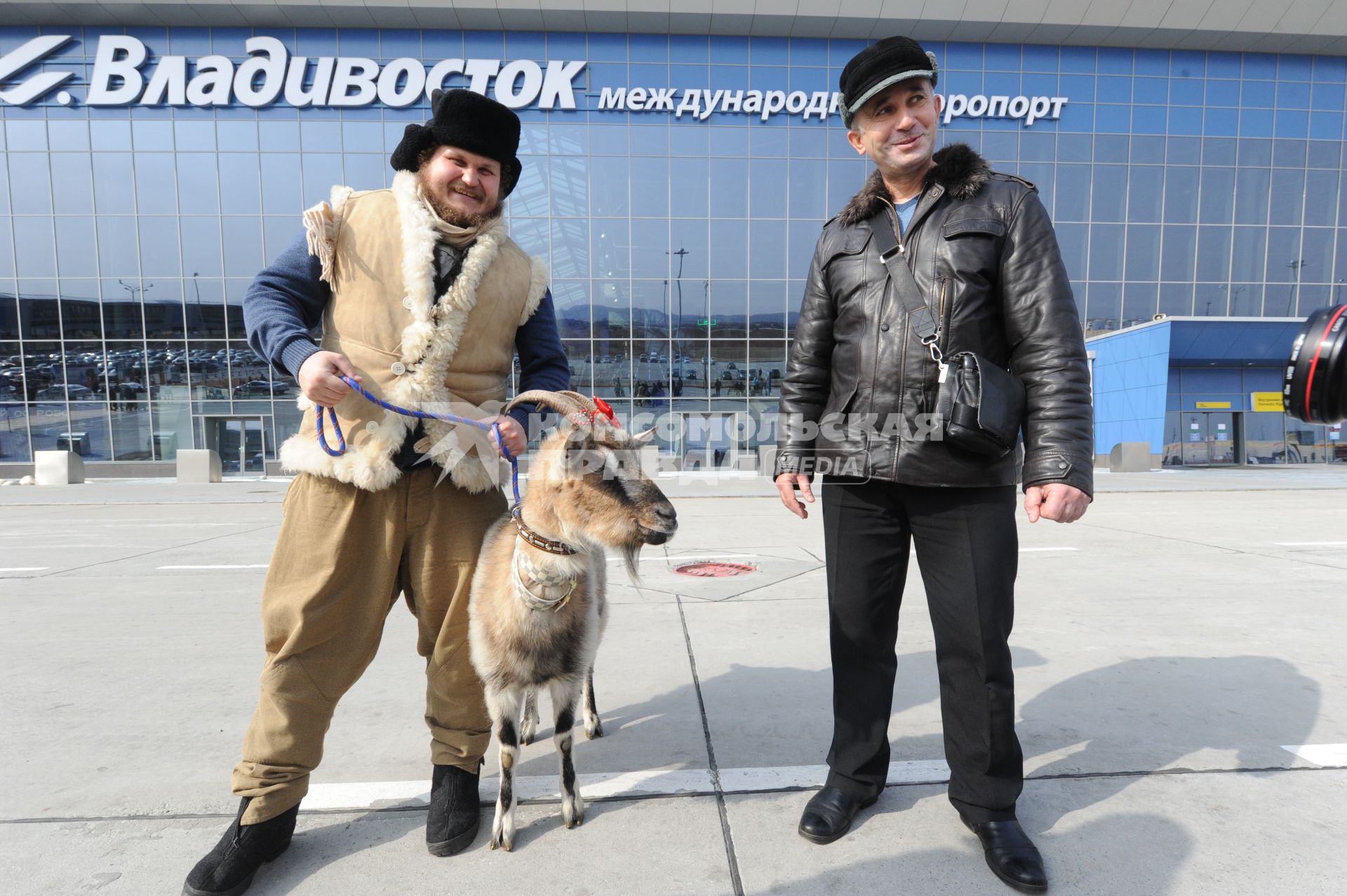 Владивосток.  Козу  Меркель и ее хозяина -  фермера Олега Сироту  в аэропорту встретил директор сафари-парка Мезенцев