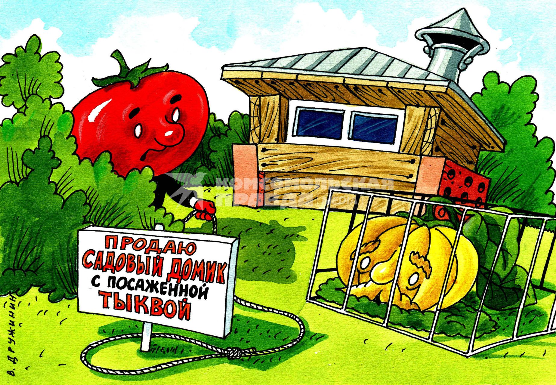 Карикатура. Продажа садового домика.