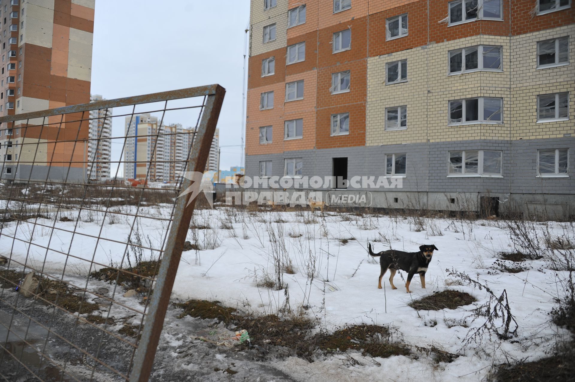 Московская область. Не введенные в эксплуатацию новостройки ЖК `Южное Домодедово`, от застройщика СУ-155 ,   где должны были жить 20 тысяч человек.