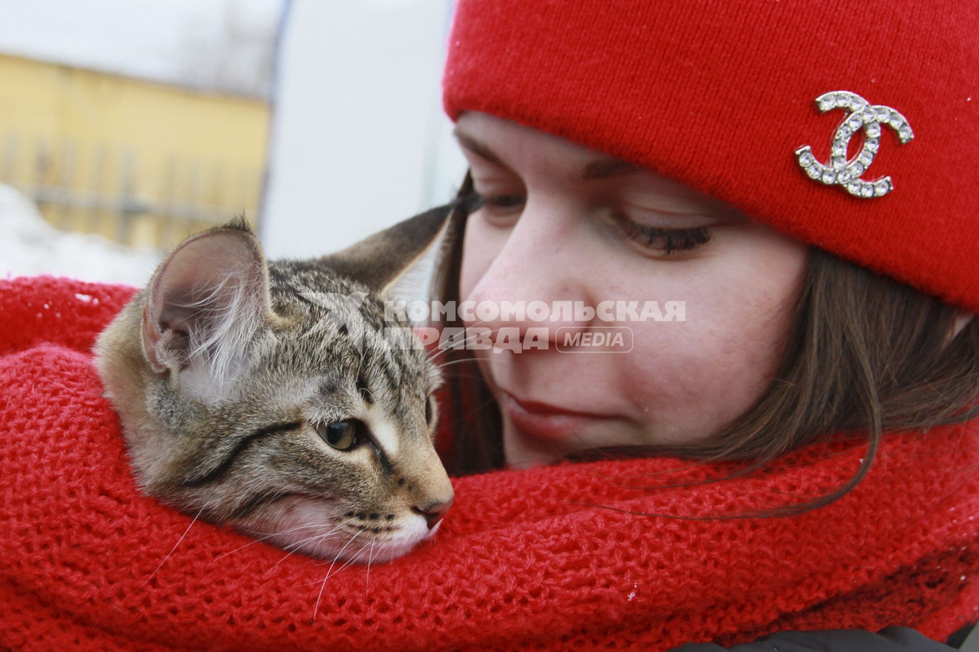 Барнаул. Кот,участник традиционного праздника Мартовских котов и его хозяйка.