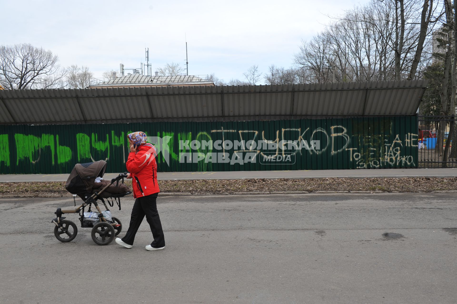 Москва.  Женщина с детской коляской   гуляет в  парке `Дубки`.