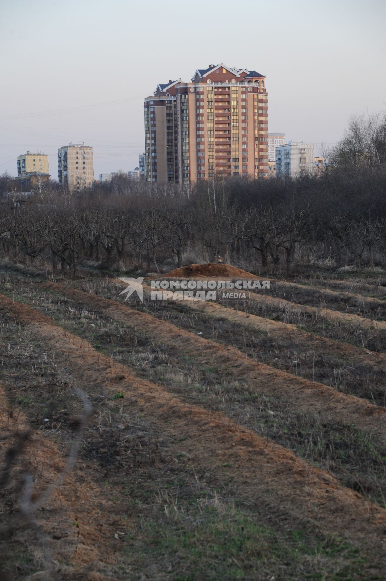 Москва. Поля принадлежащие  Тимирязевской селхозакадемии.