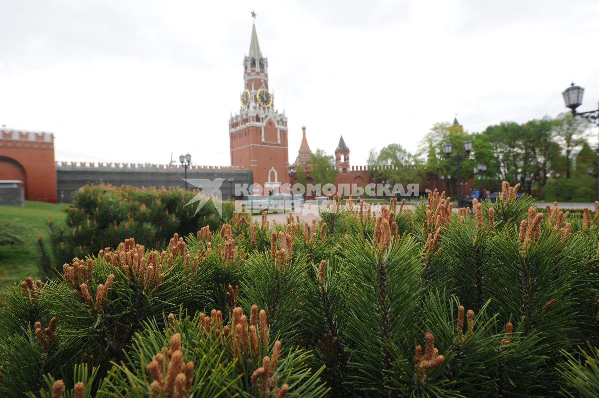 Москва.  На месте снесенного 14-го корпуса в Кремле открылся парк с видом на Спасскую башню.