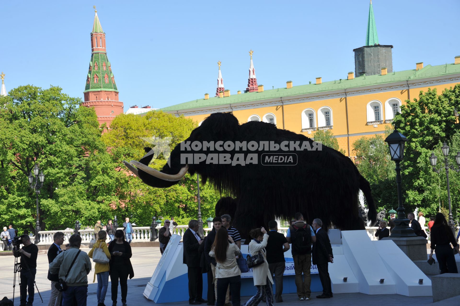 Москва. Фигуры мамонта и мамонтенка, установленные возле Центрального выставочного зала `Манеж` в рамках проведения международного фестиваля `Интермузей`.