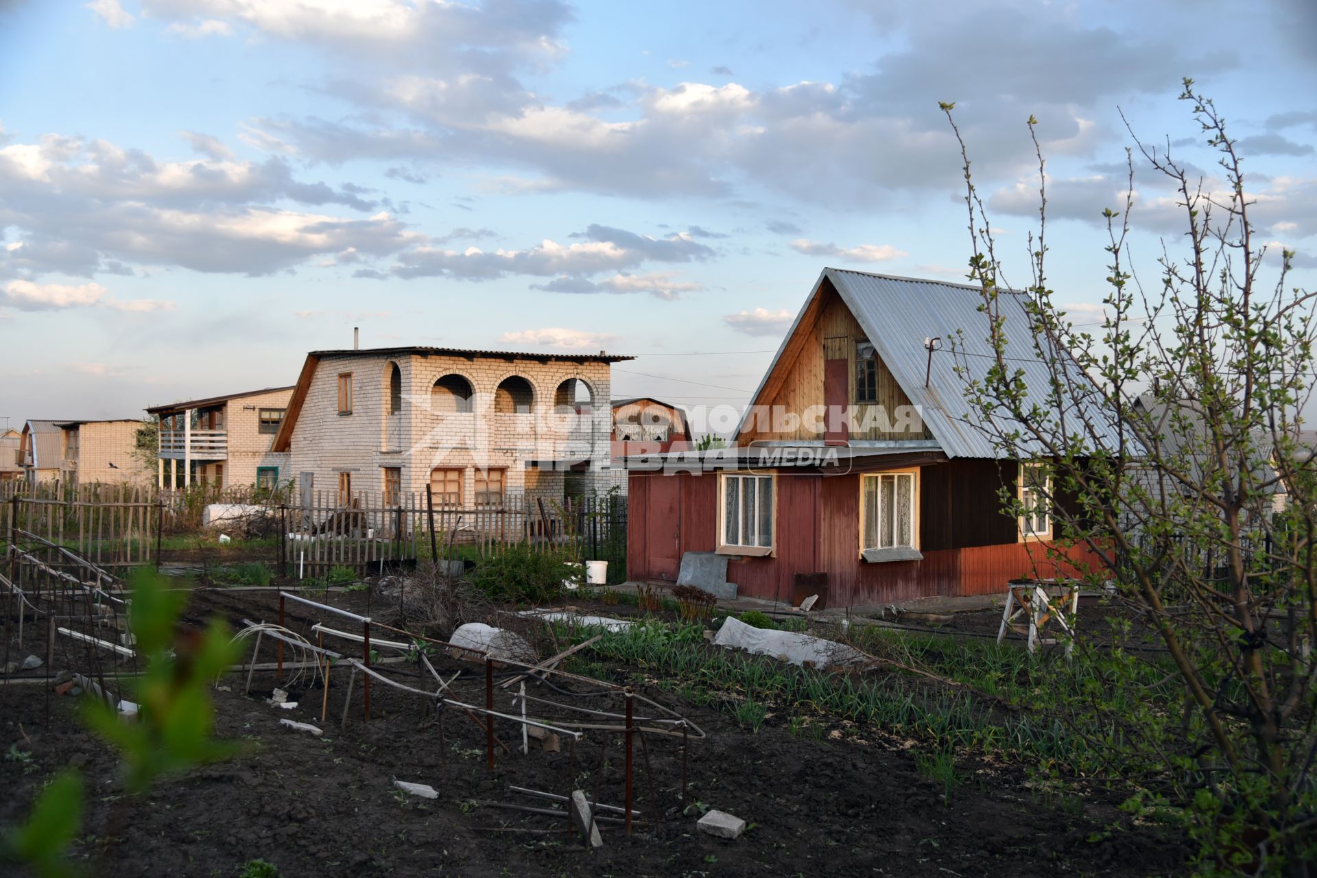 Новосибирск.  Дачный участок в мае.