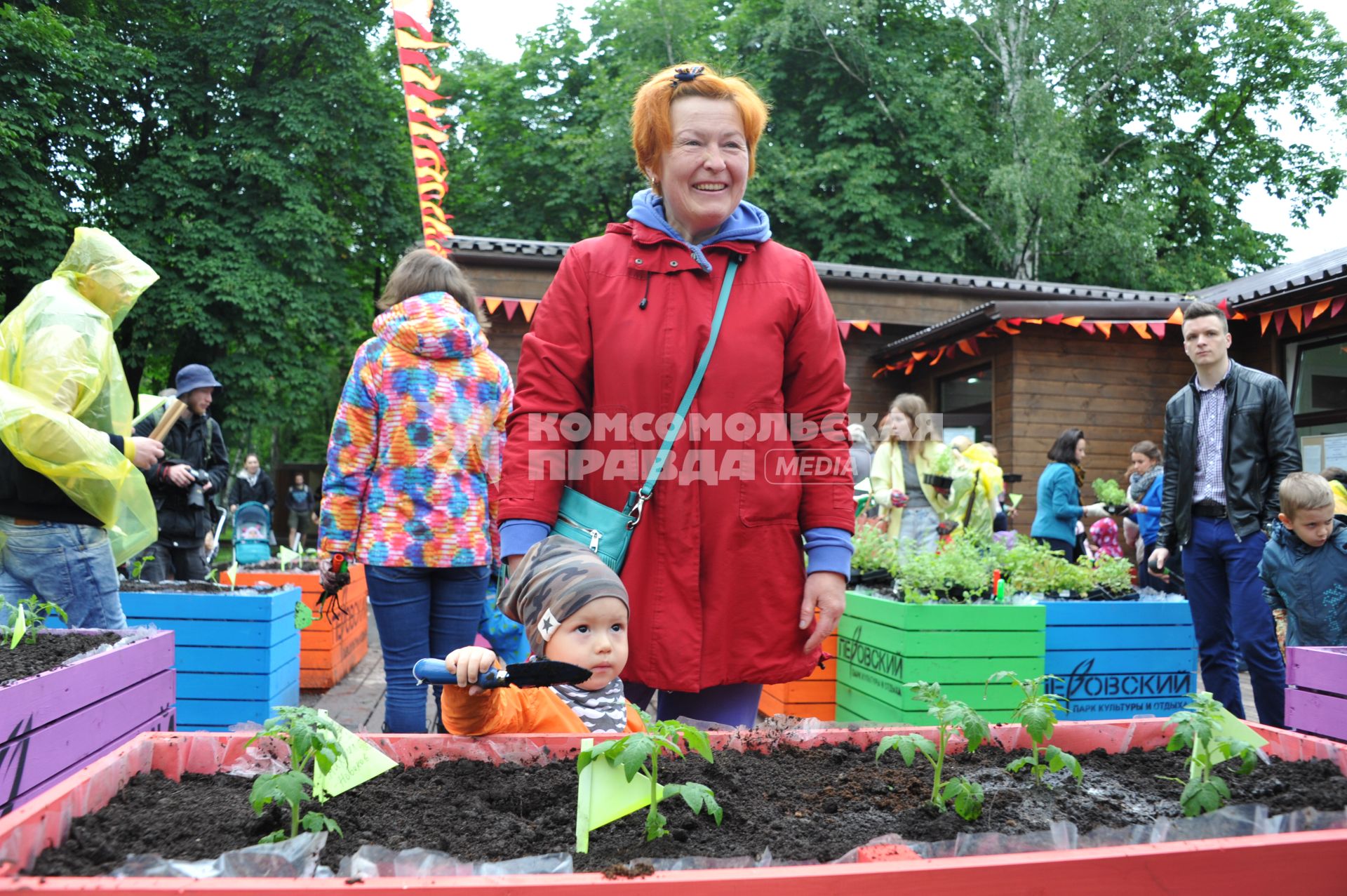 Москва.  В Перовском парке  в рамках проекта ` Дача в большом городе` горожане своими руками сажают  овощи.