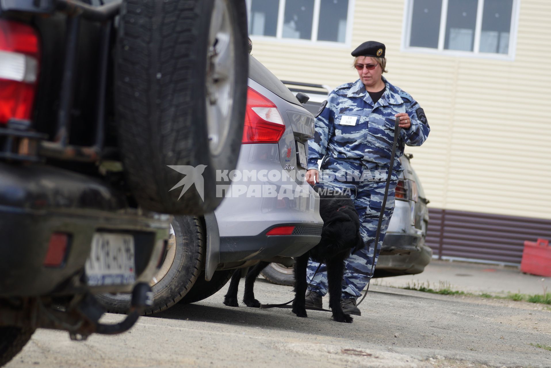 Екатеринбург. Полицейский-кинолог с своей служебной собакой во время поиска взрывчатых веществ на областных соревнованиях кинологов МВД и Таможни