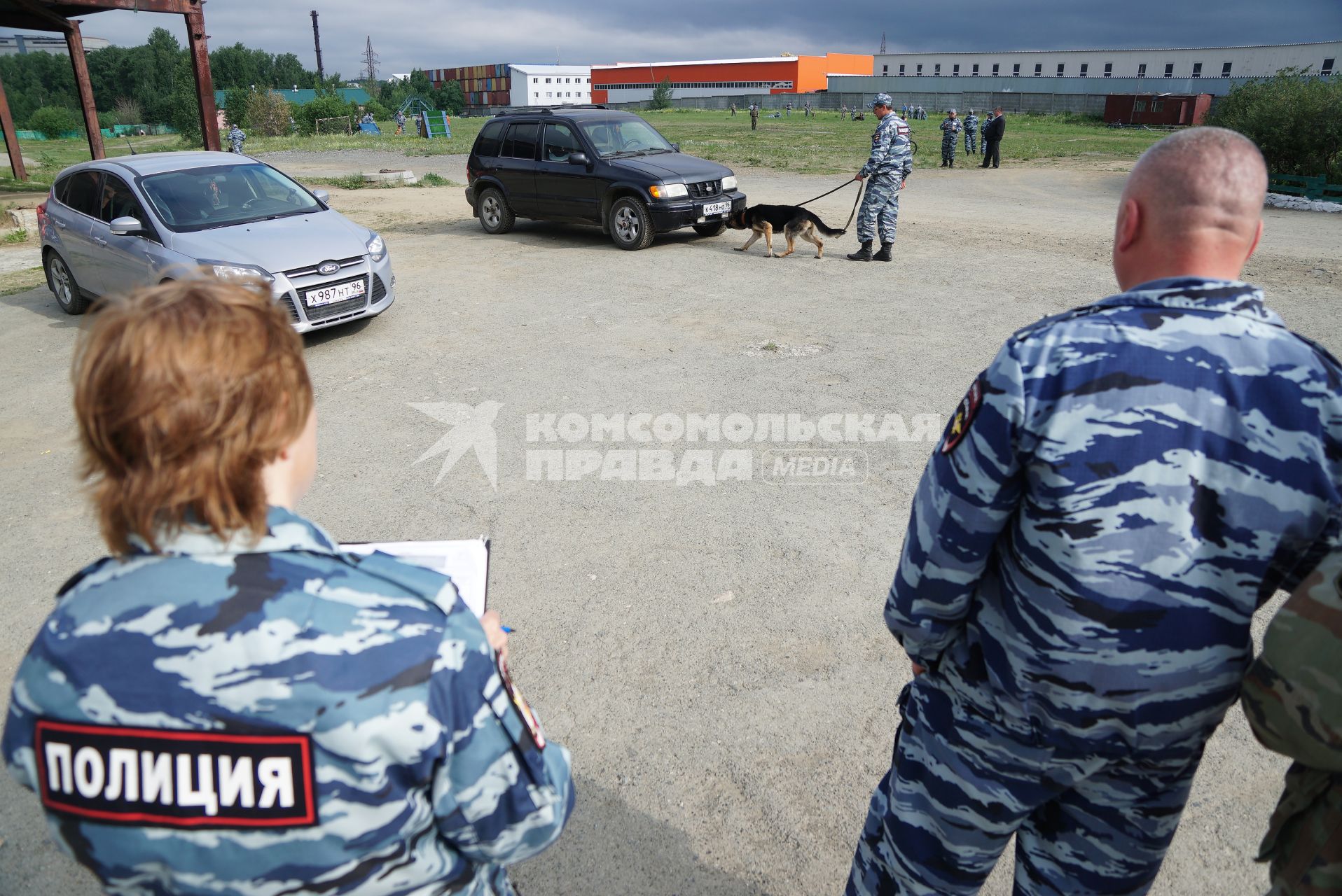 Екатеринбург. Полицейский-кинолог с своей служебной собакой во время поиска взрывчатых веществ на областных соревнованиях кинологов МВД и Таможни