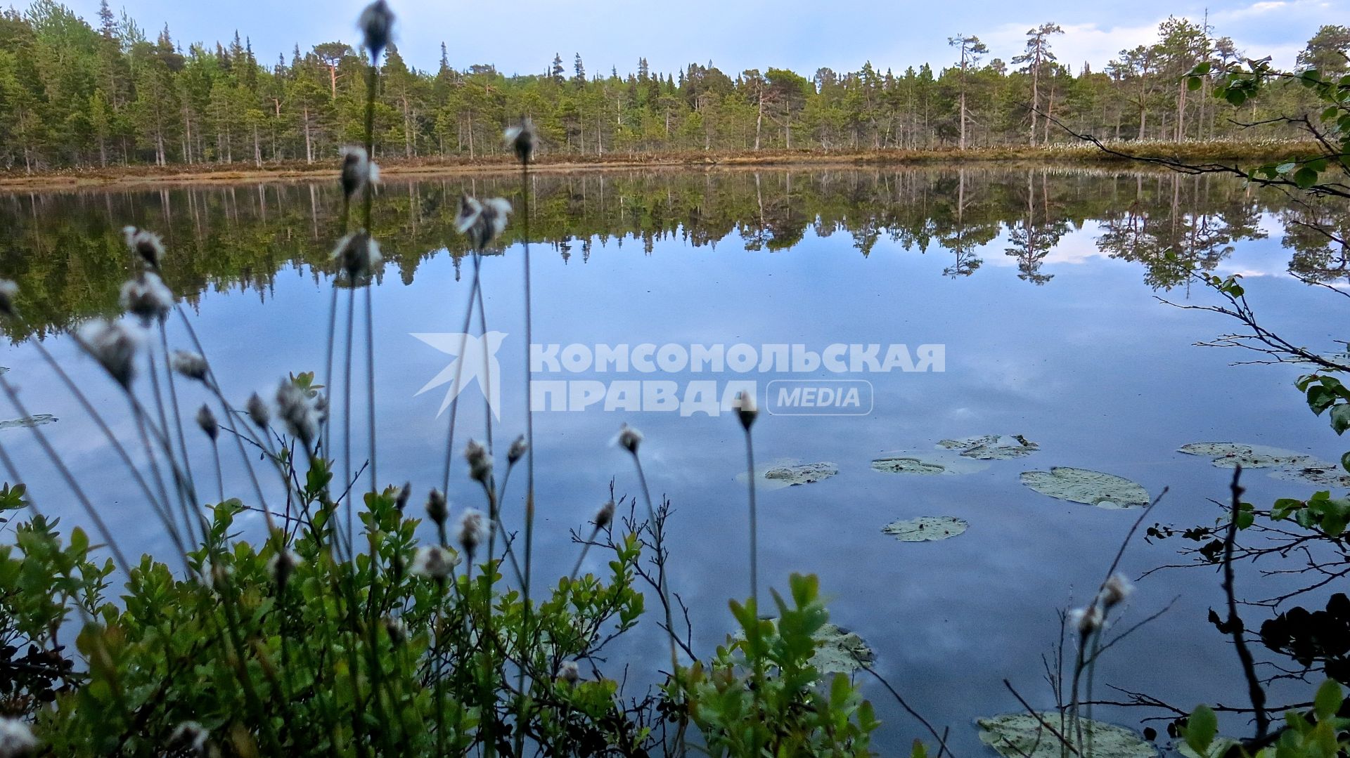 Архангельская область, Соловецкий архипелаг. Остров Анзер.