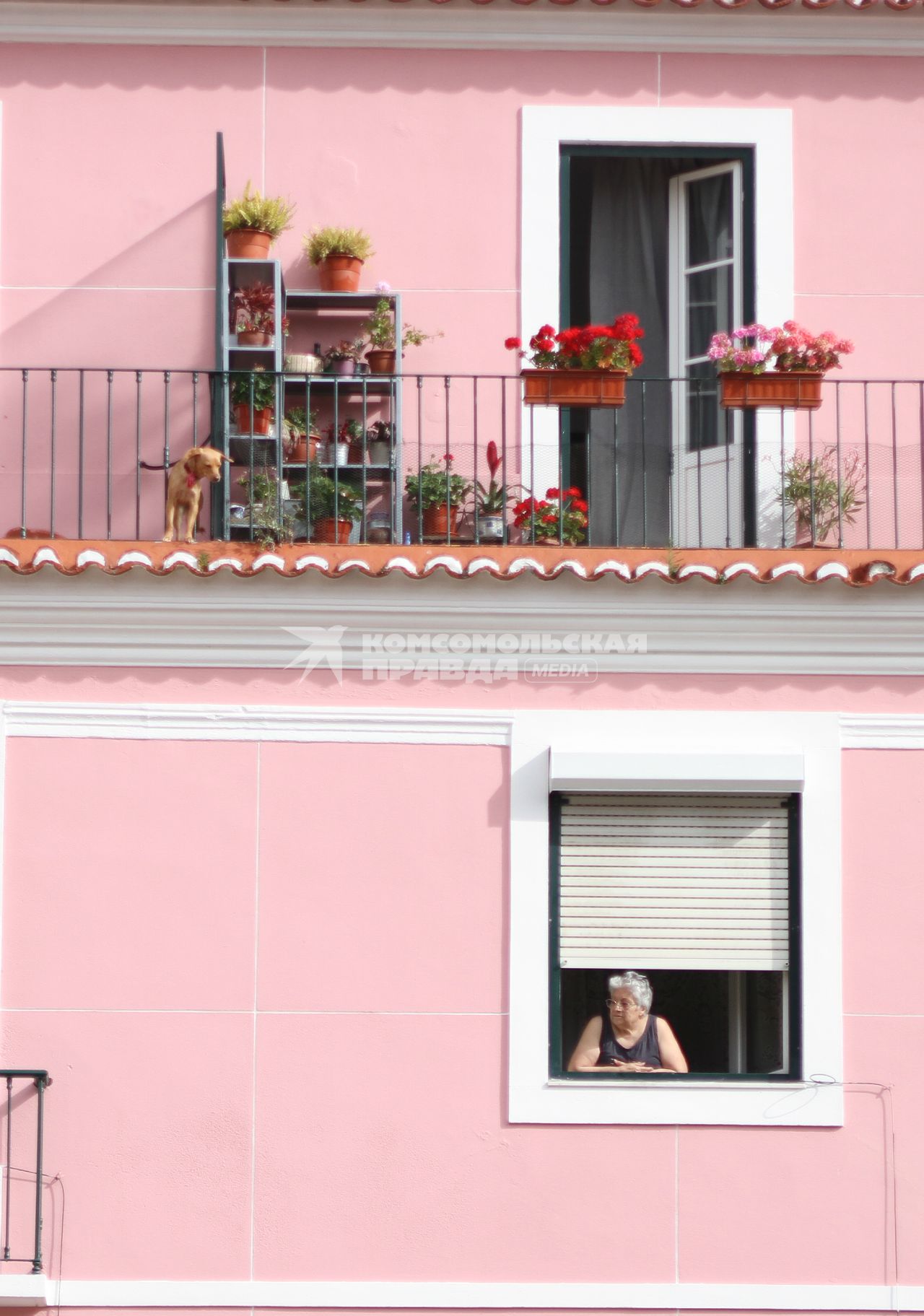 Португалия. Лиссабон.  Женщина смотрит из окна.