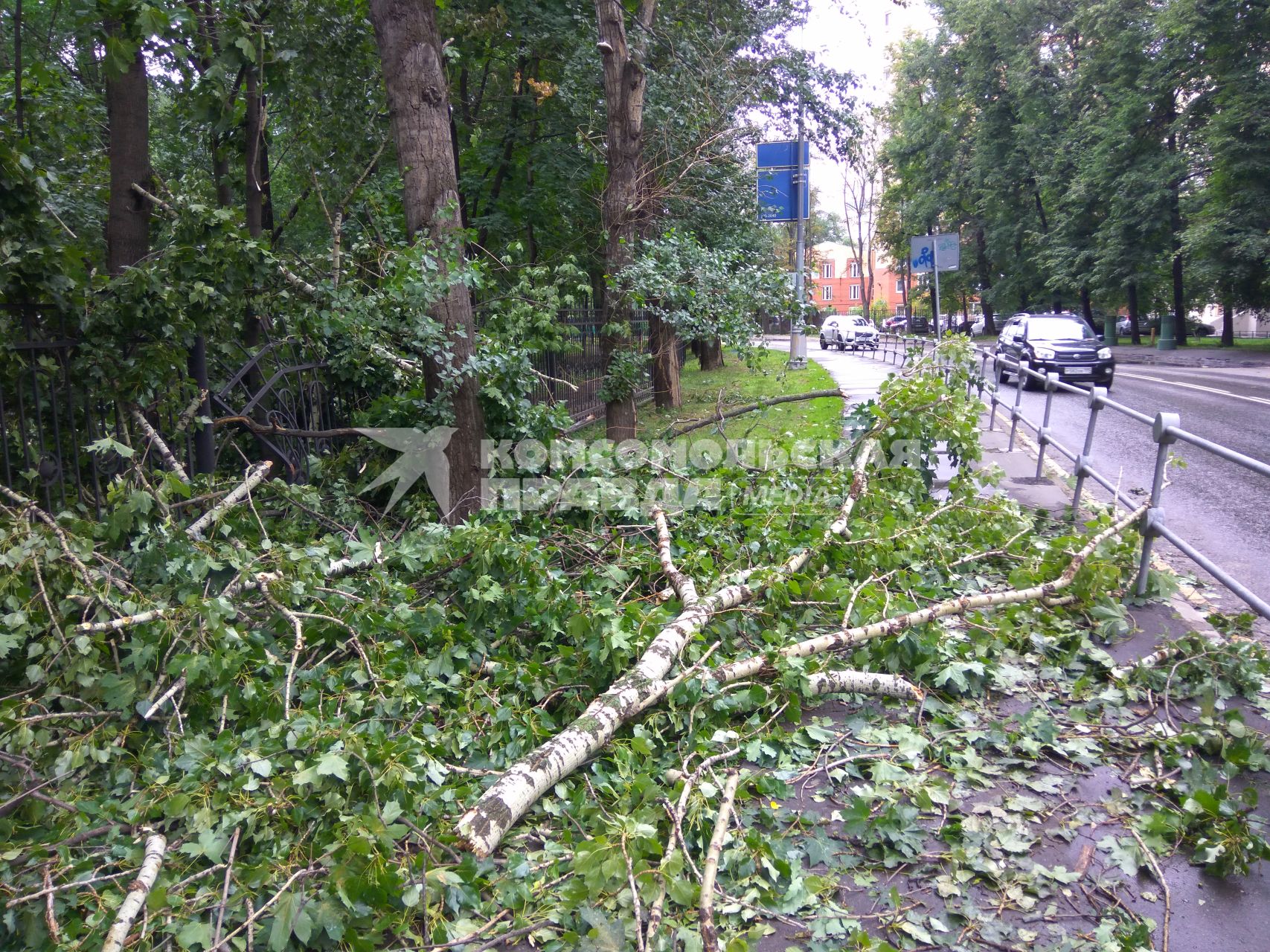 Москва.   Поваленные во время урагана деревья в Петровском парке.