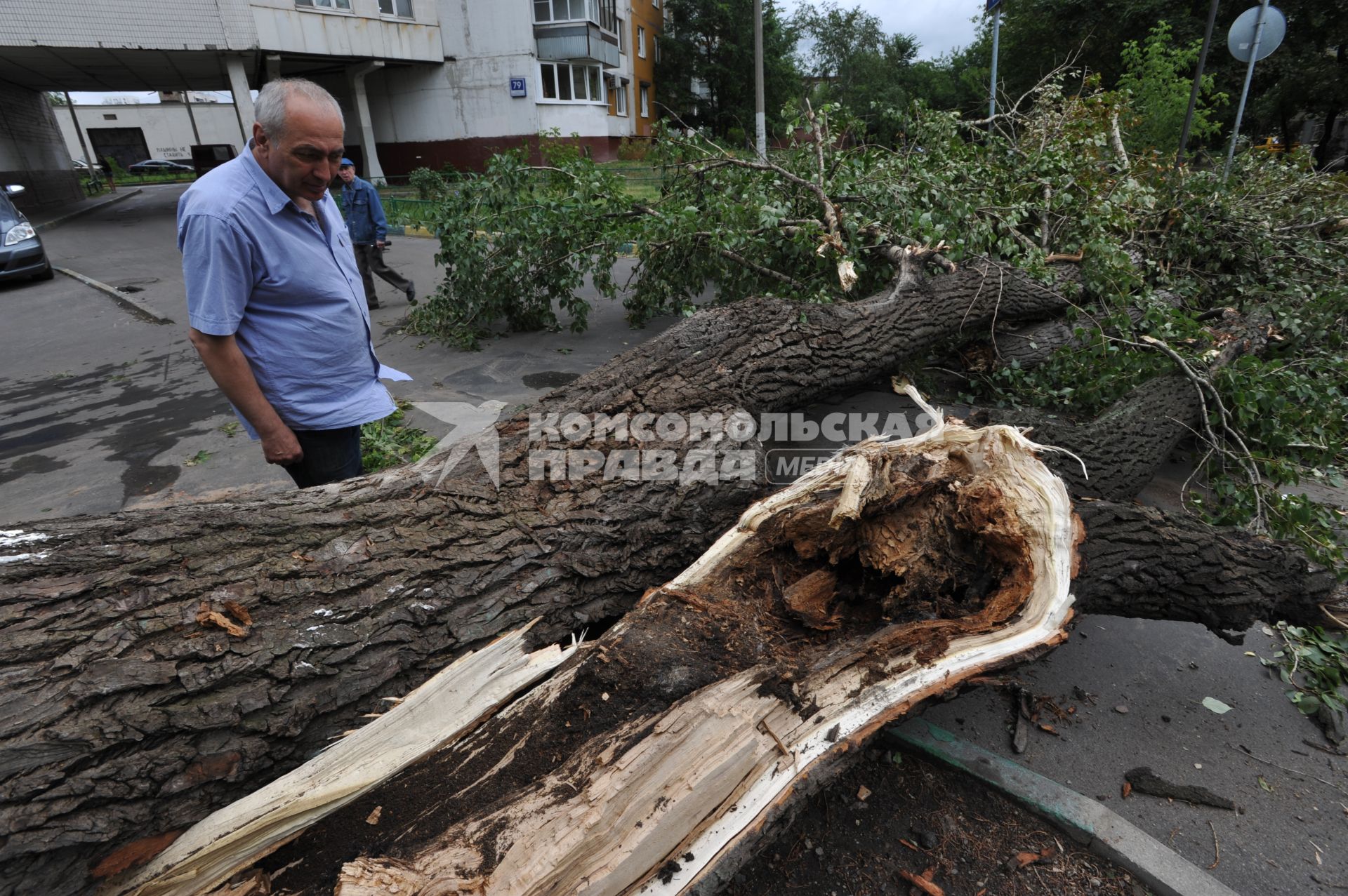 Москва. Мужчина  смотрит на сломанное  ураганом дерево.