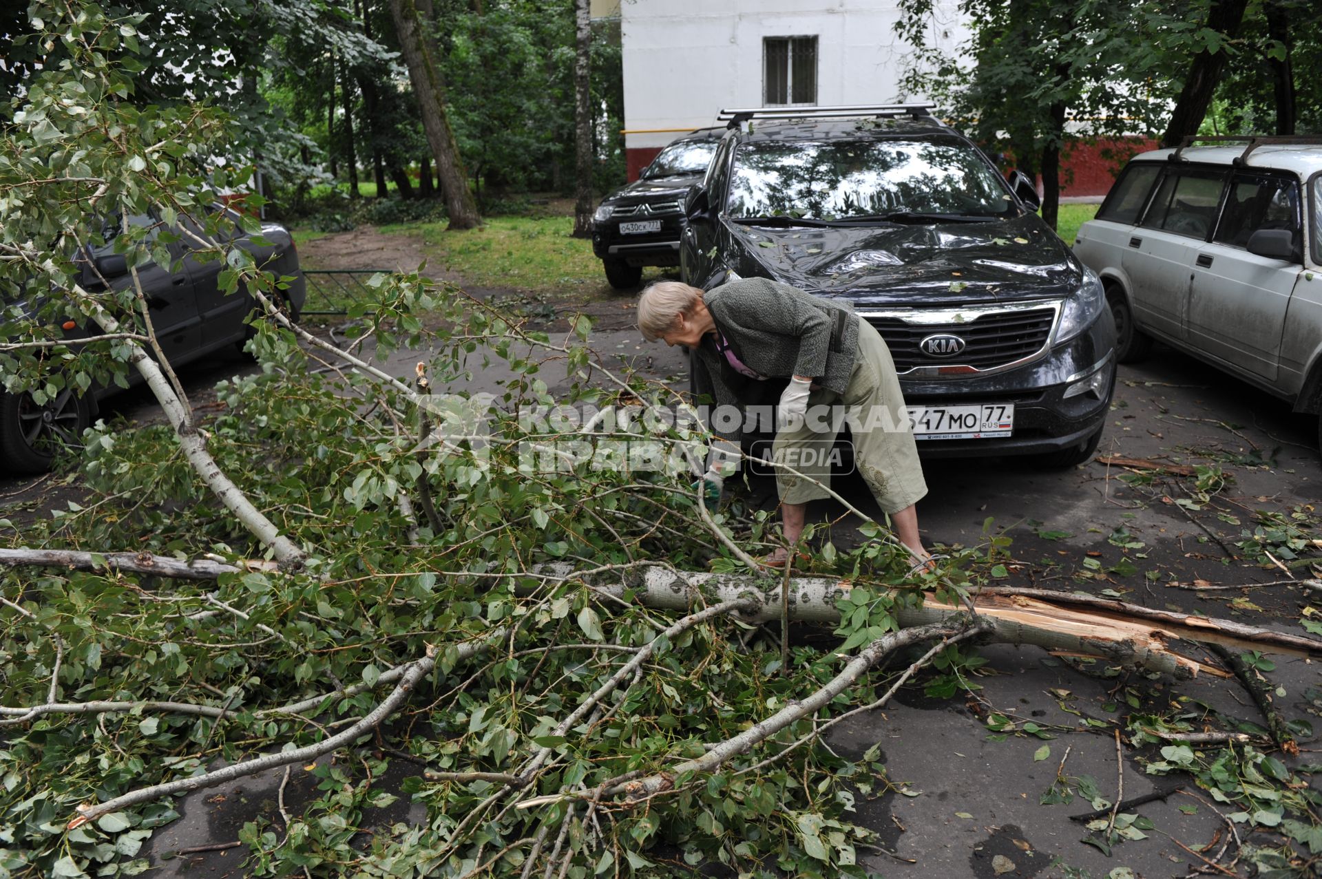 Москва.  Сломанное ураганом дерево перегородило улицу.