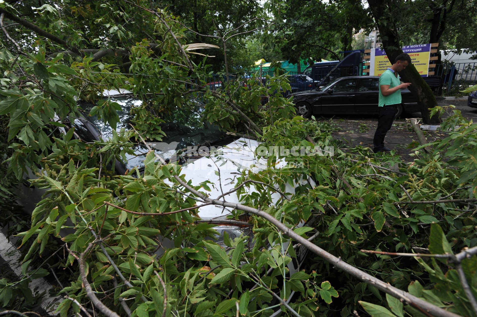 Москва.   Машины, на которые упали сломанные ураганом ветки деревьев.