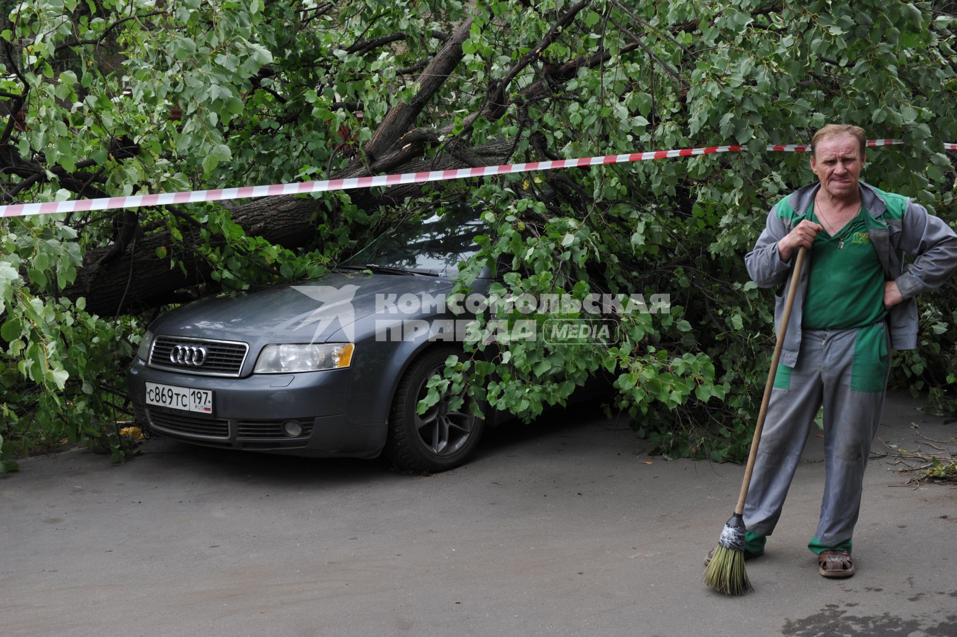 Москва. Дерево упало на припаркованный автомобиль.