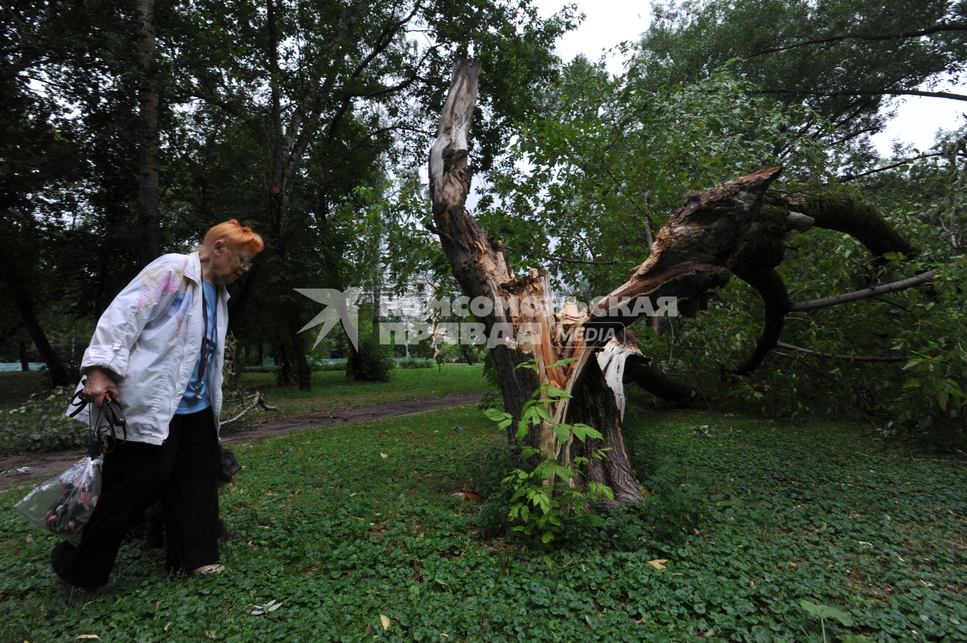 Москва. Женщина рядом со сломанным ураганом деревом.