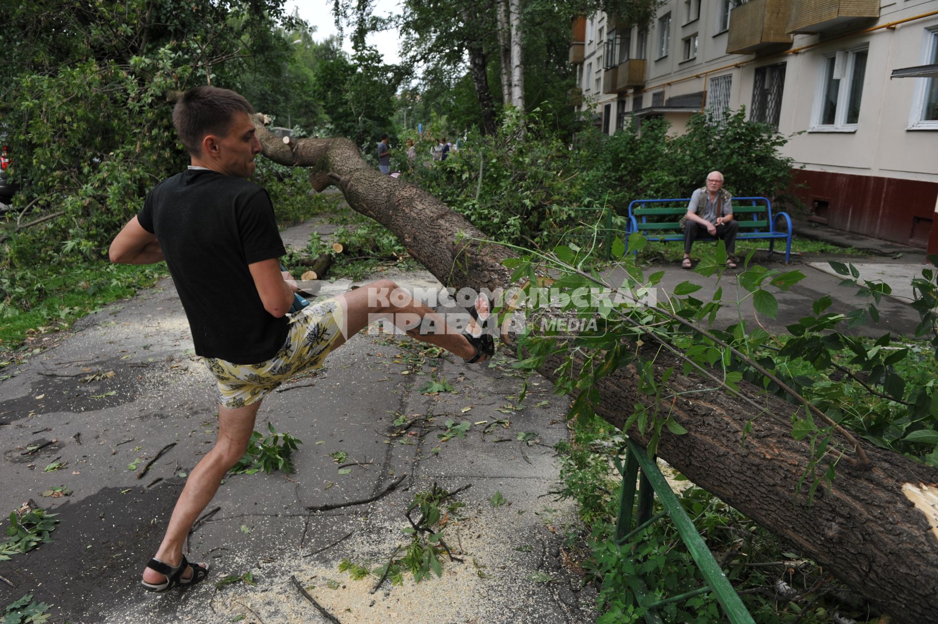 Москва. Работники коммунальных служб убирают  сломанное ураганом дерево.