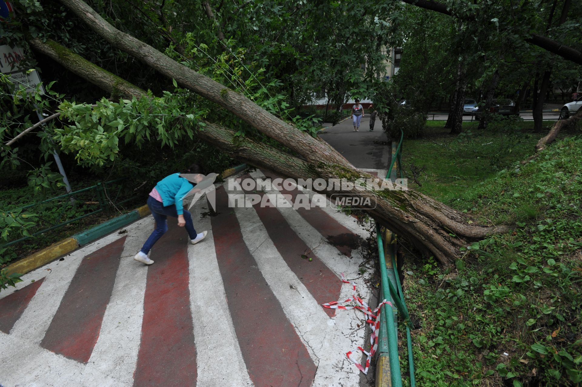 Москва.  Сломанное ураганом дерево перегородило улицу.