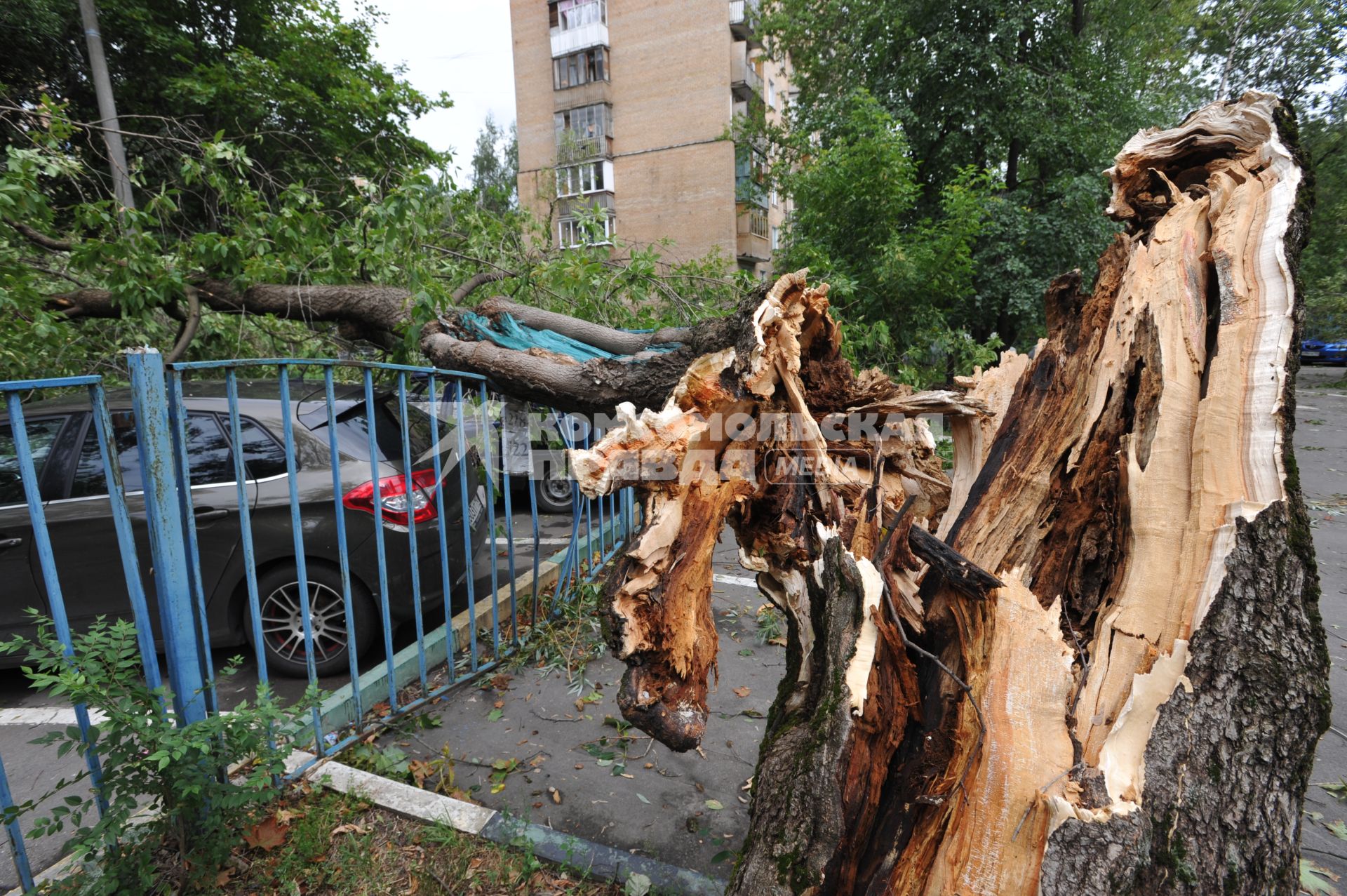 Москва.   Машина, на которую  упали сломанные ураганом деревья.