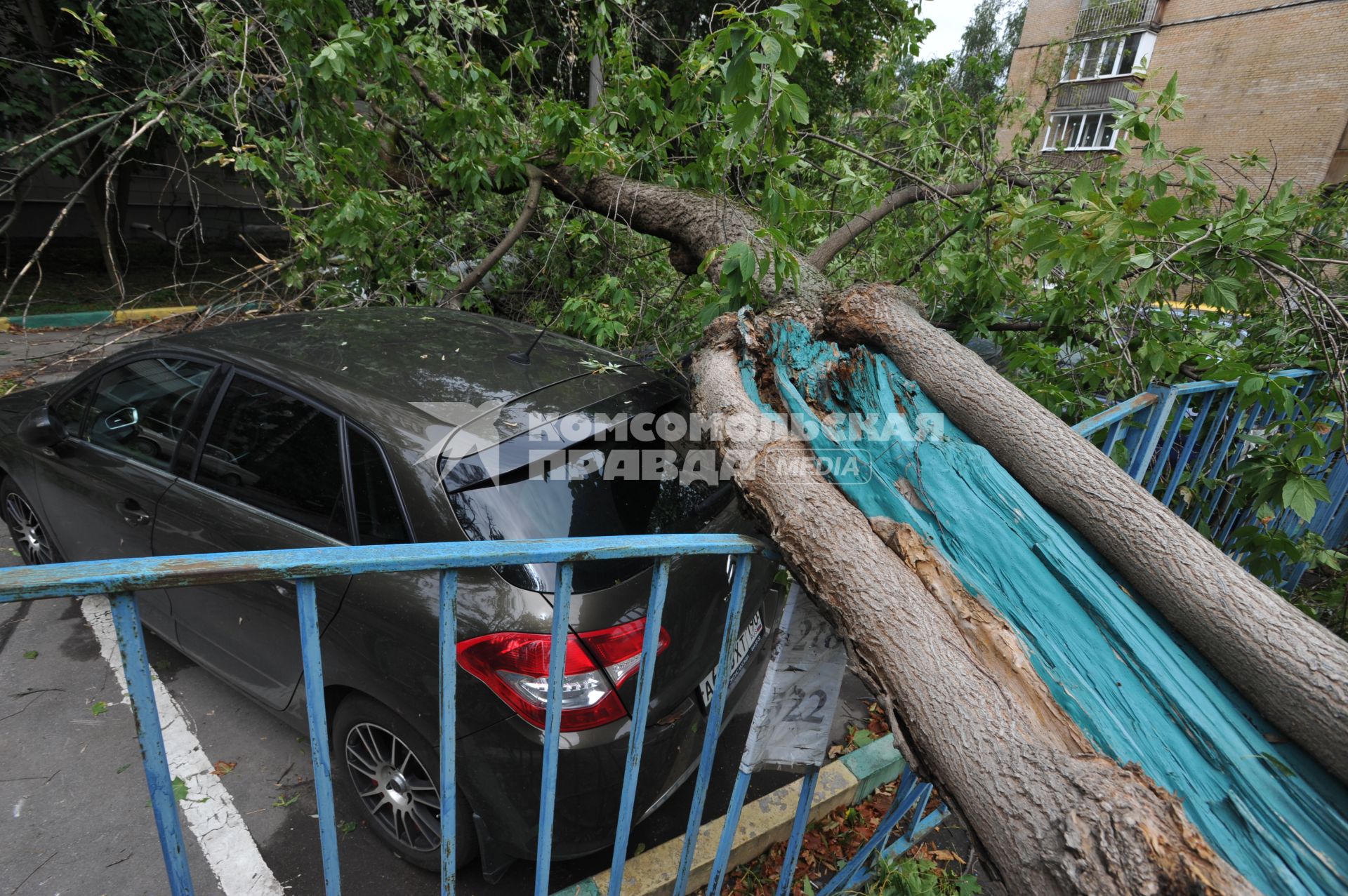 Москва.   Машина, на которую  упали сломанные ураганом деревья.