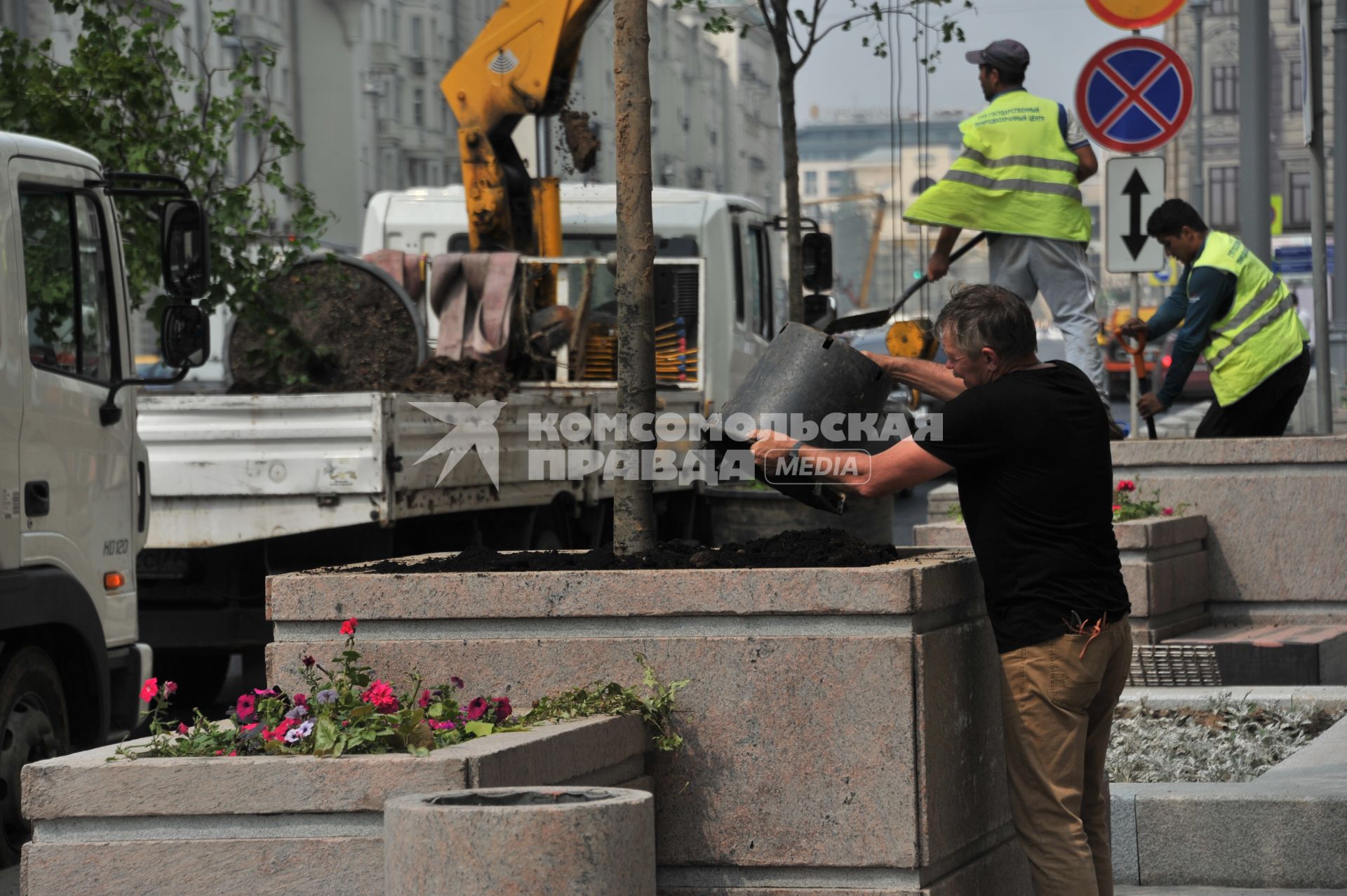 Москва. Высаживание деревьев на Тверской улице.