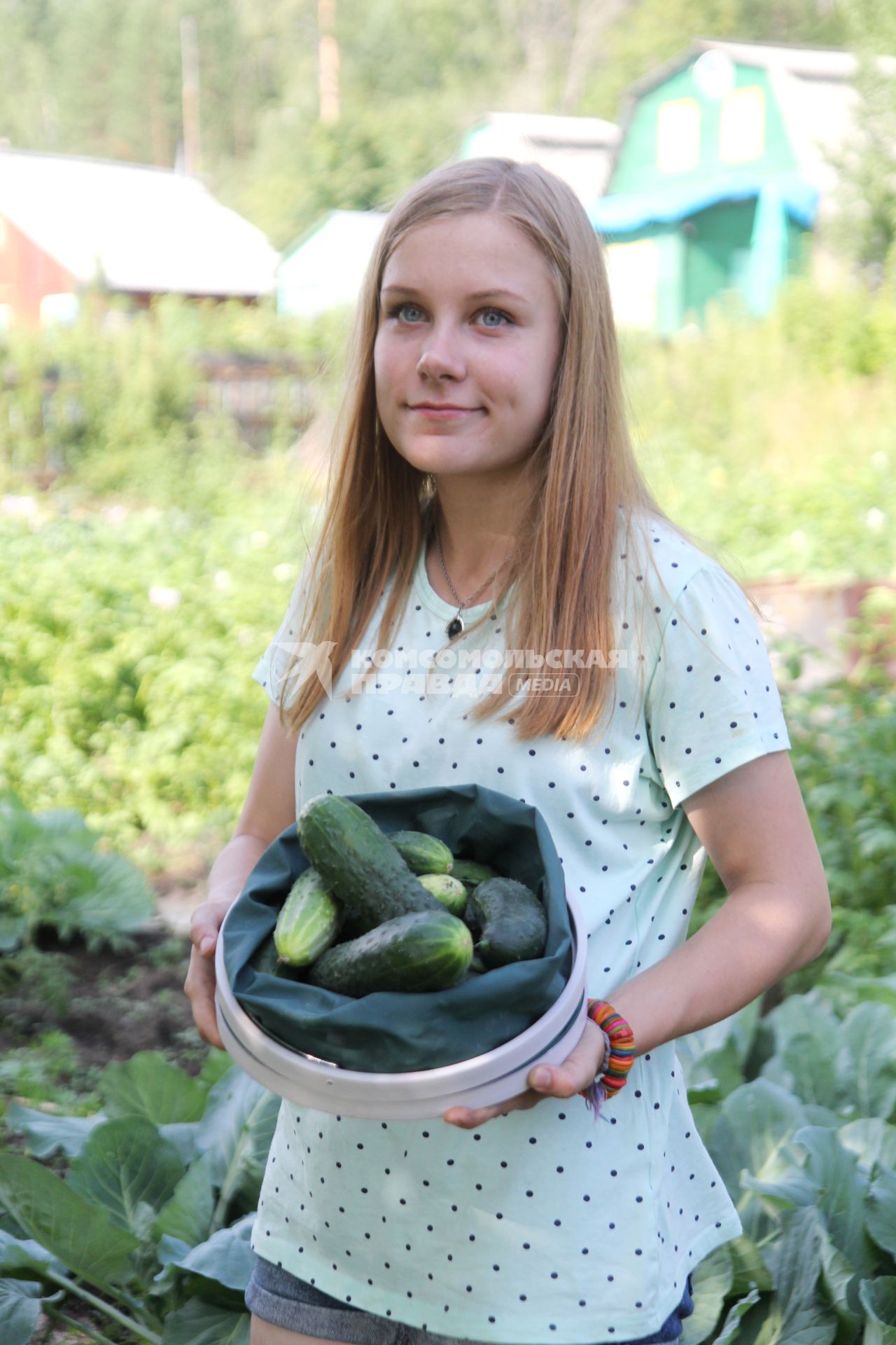 Иркутск. Девушка  собрала огурцы.