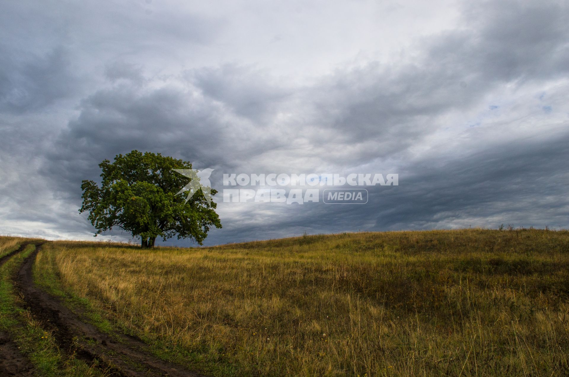 Самара.  Пейзаж в самарской области.