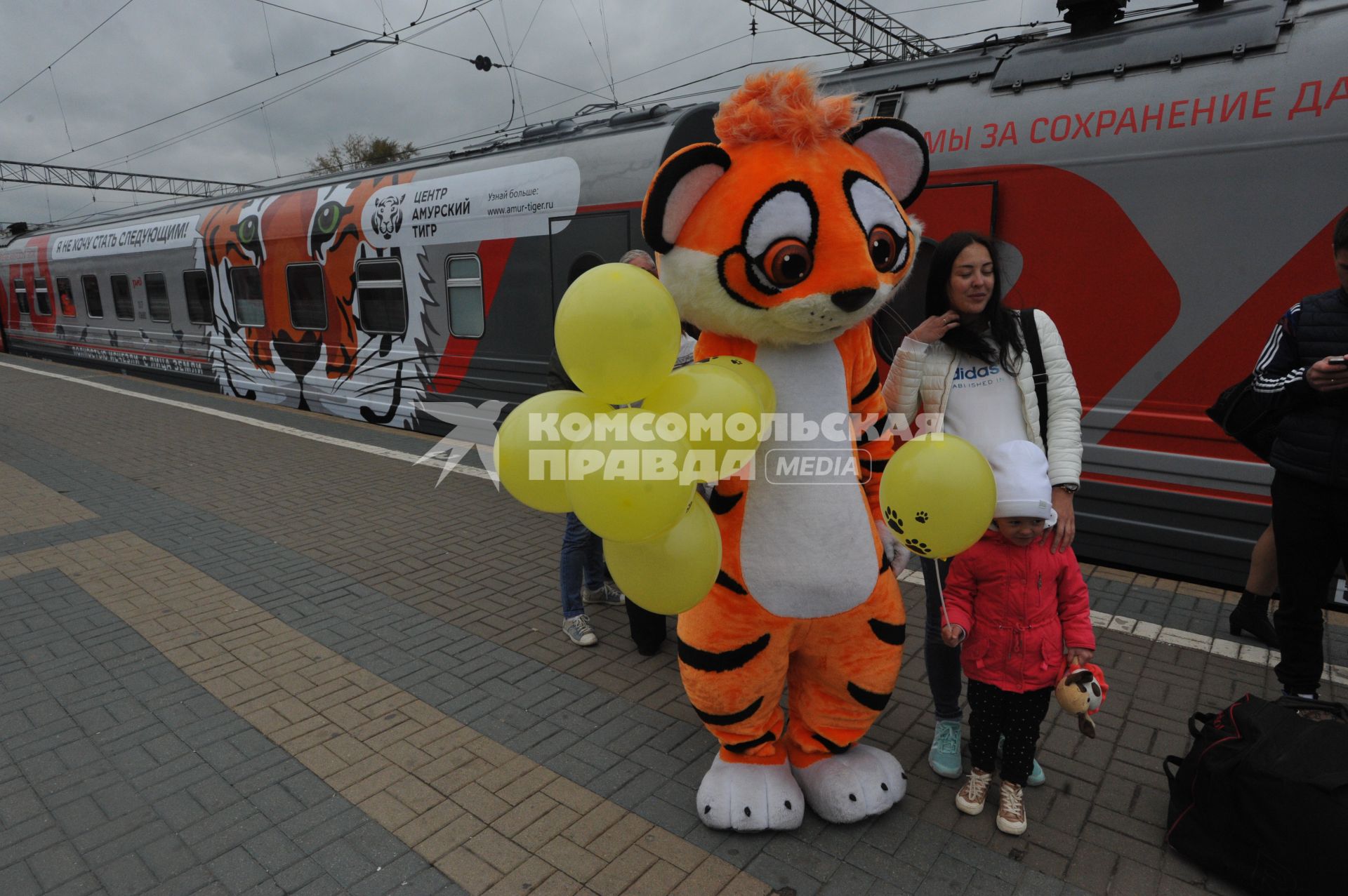 Москва. Пассажиры  и ростовая кукла амурского тигра перед отправлением поезда  `Россия` Москва - Владивосток в тематическом оформлении, приуроченном ко Дню тигра, на платформе Ярославского вокзала.