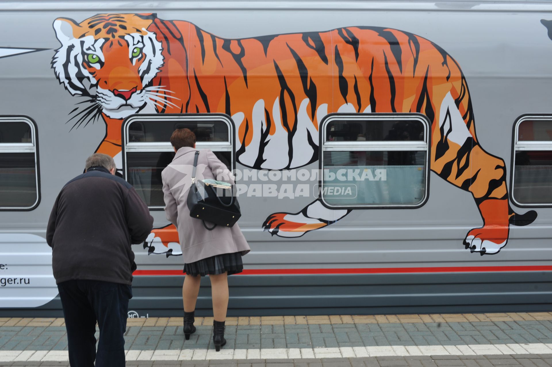 Москва. Пассажиры перед отправлением поезда  `Россия` Москва - Владивосток в тематическом оформлении,приуроченном ко Дню тигра, на платформе Ярославского вокзала.