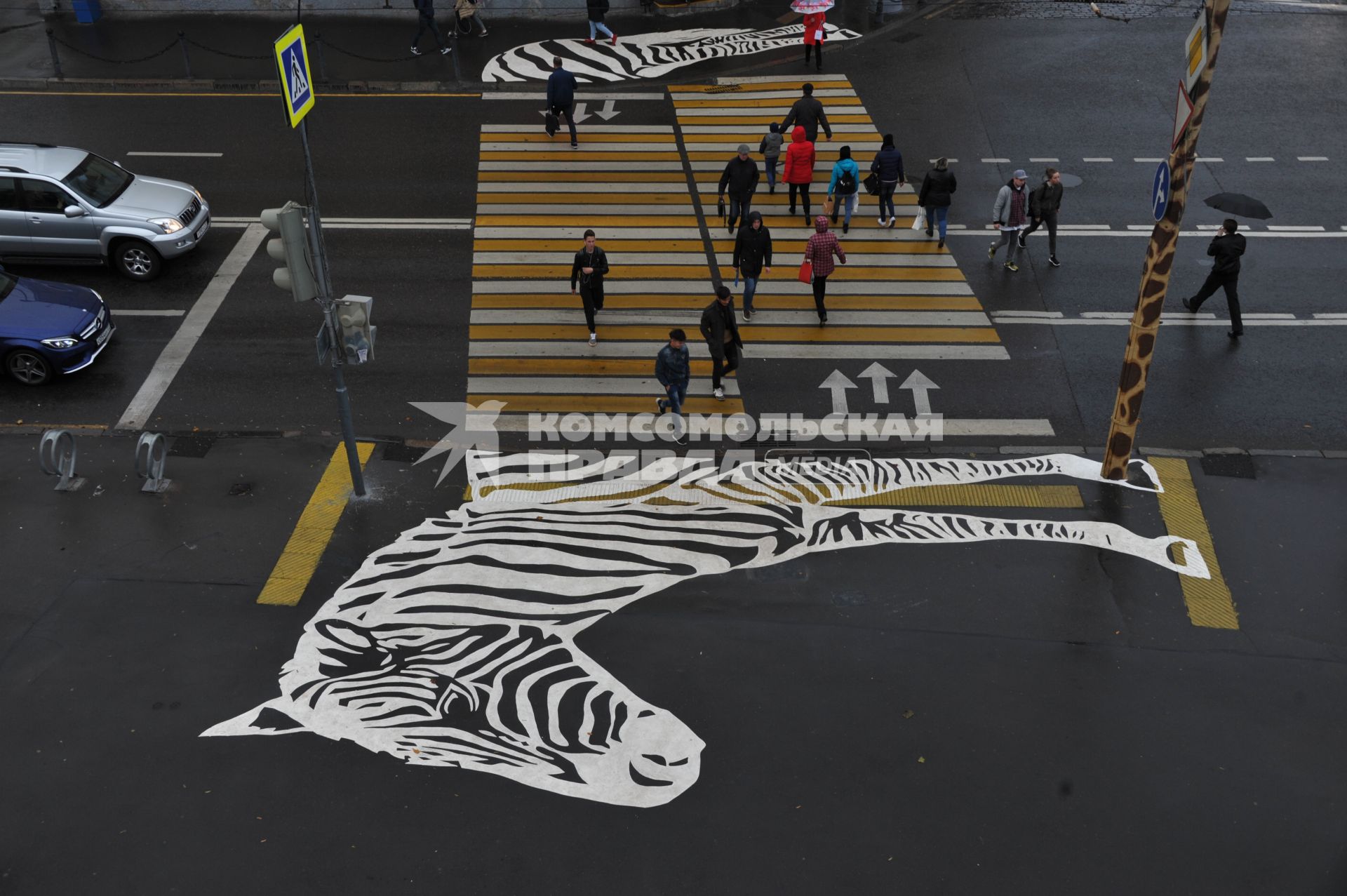 Москва.  Пешеходный переход с рисунком зебры у Московского зоопарка.