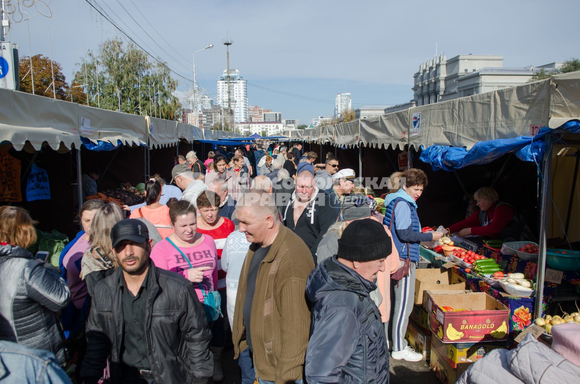 Самара.  Жители города на сезонной ярмарке.