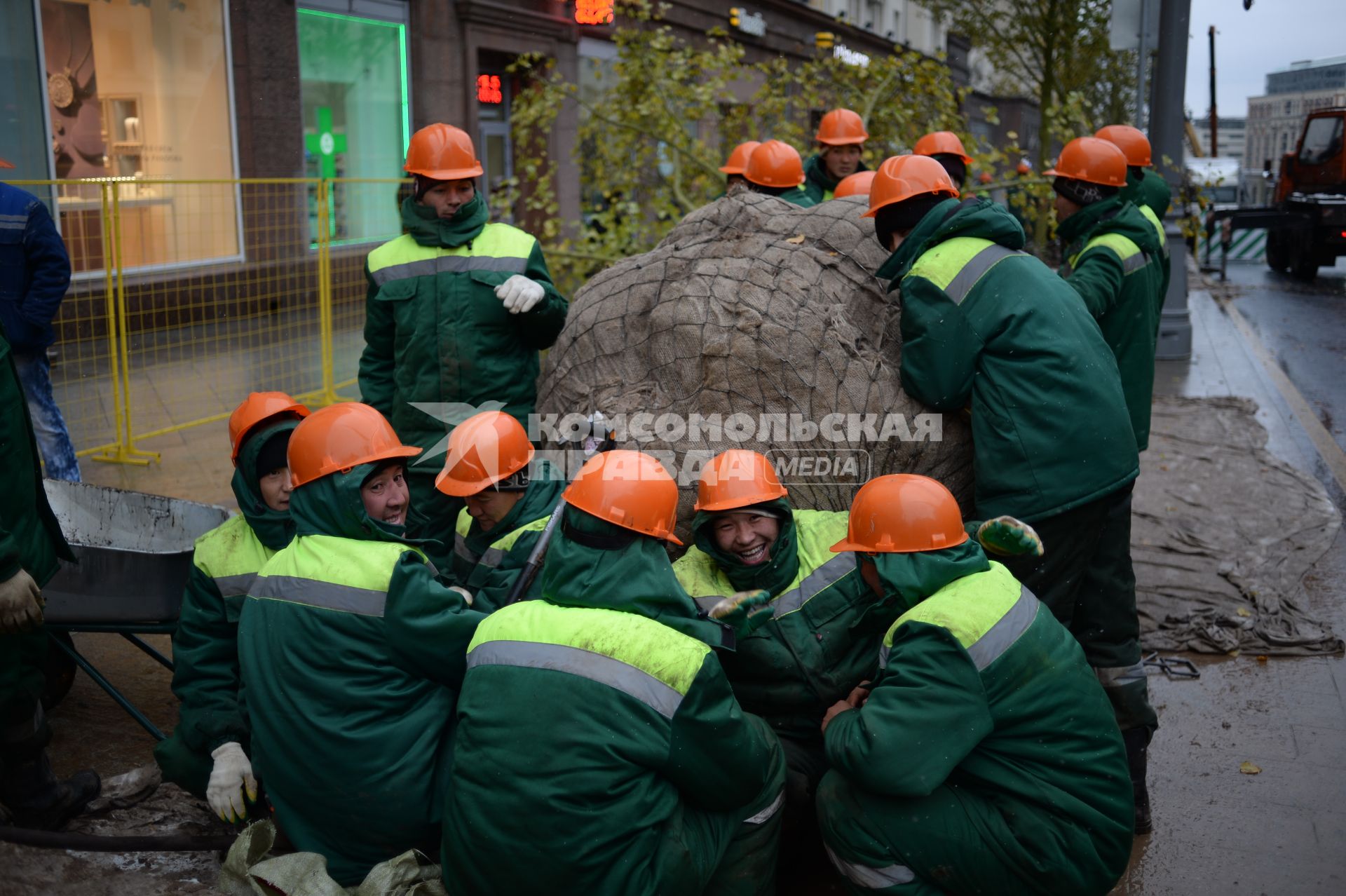 Москва. Высадка лип на Тверской улице.