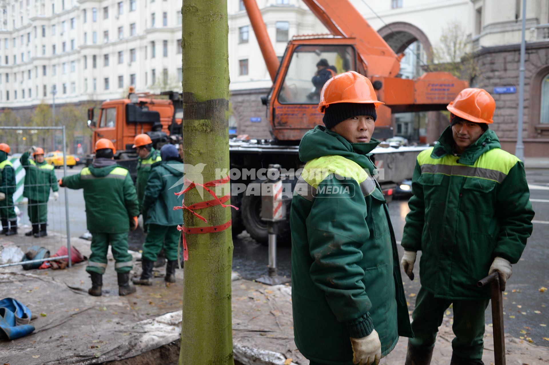 Москва. Высадка лип на Тверской улице.