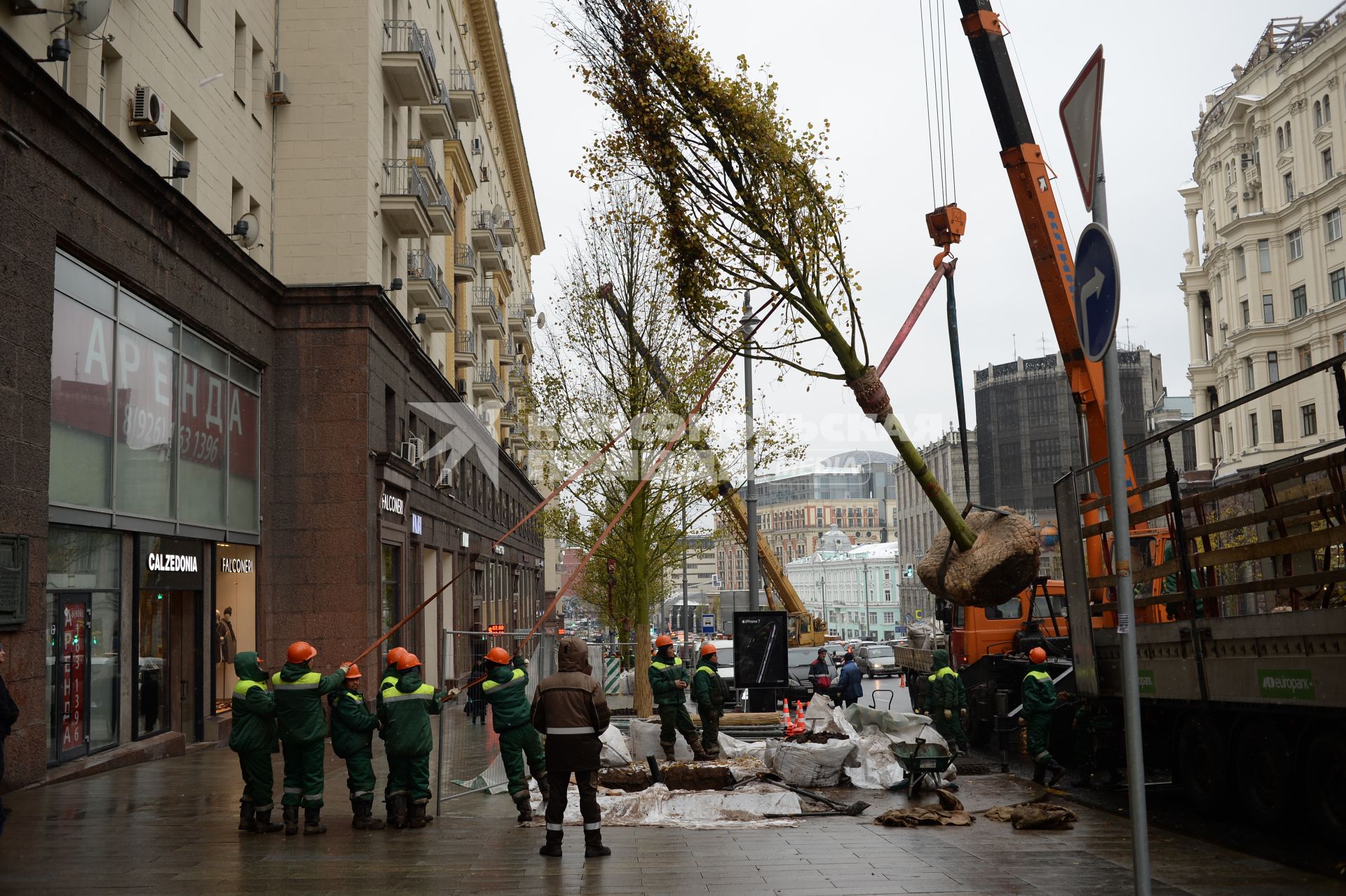 Москва. Высадка лип на Тверской улице.