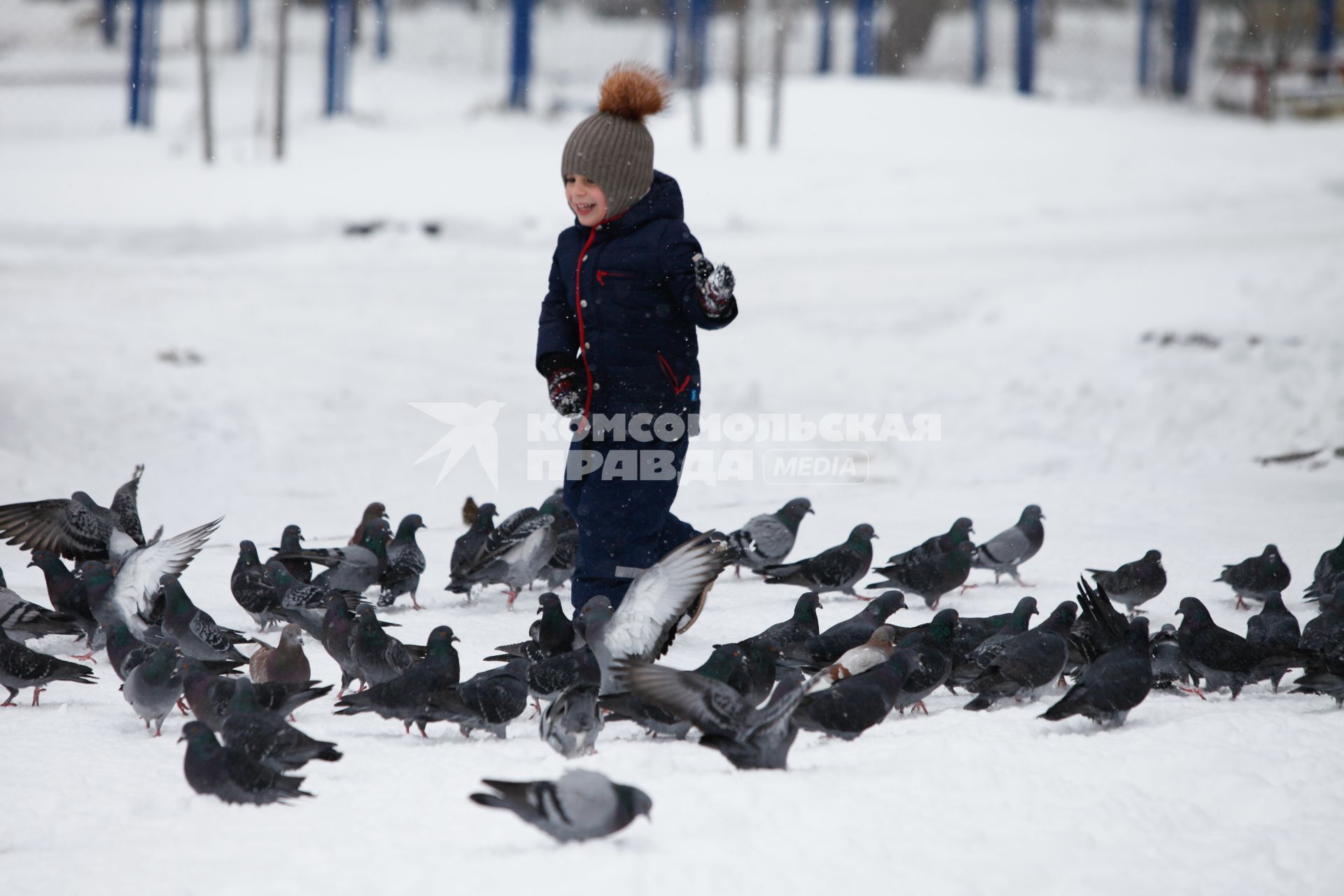Ставрополь.  Мальчик кормит  голубей.