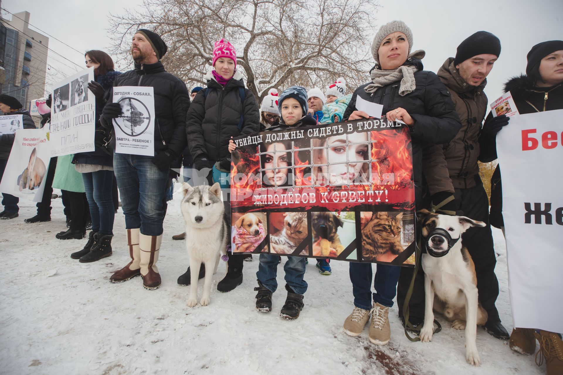 Челябинск.   Участники  Всероссийской акции против живодеров.