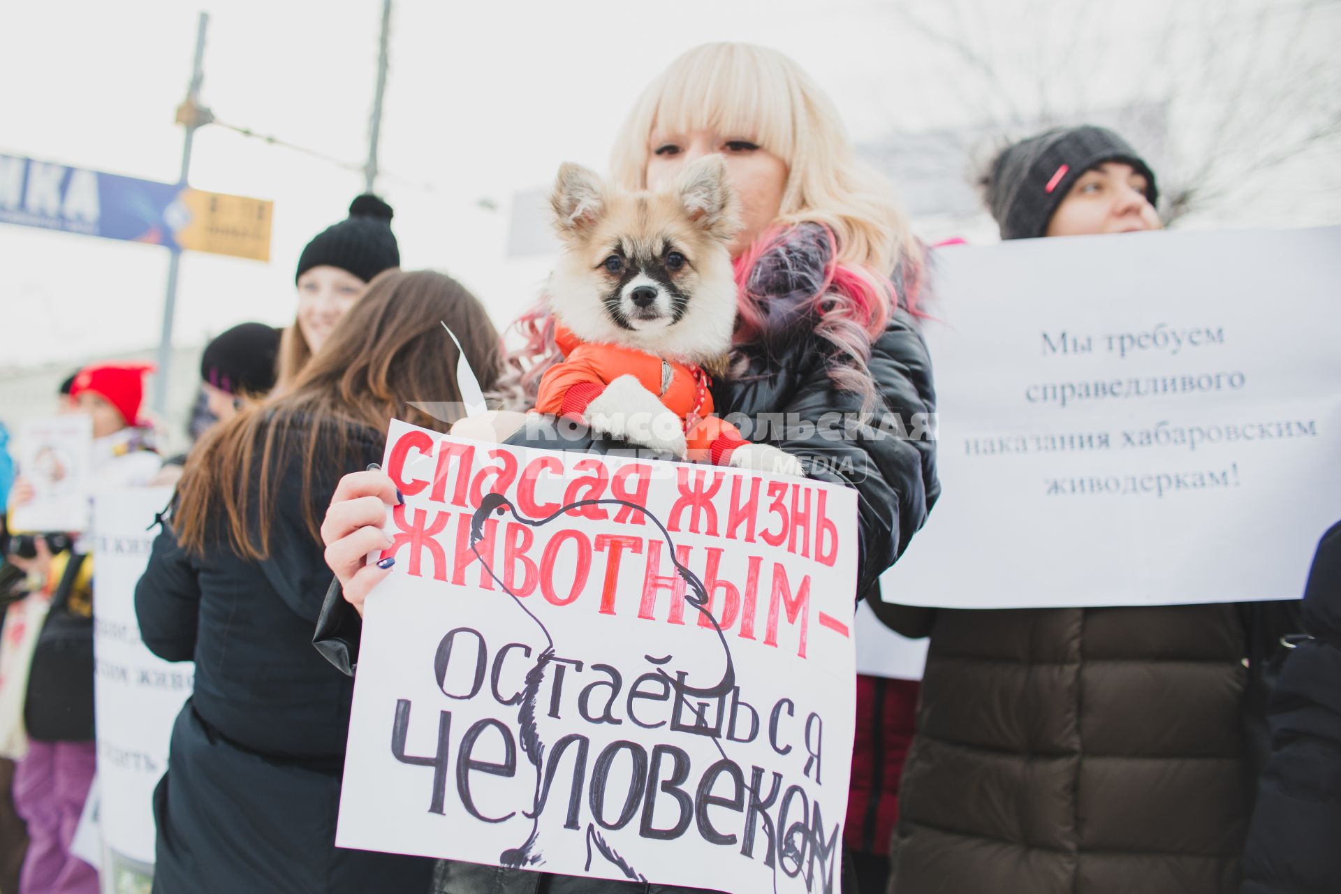 Челябинск.   Участники  Всероссийской акции против живодеров.